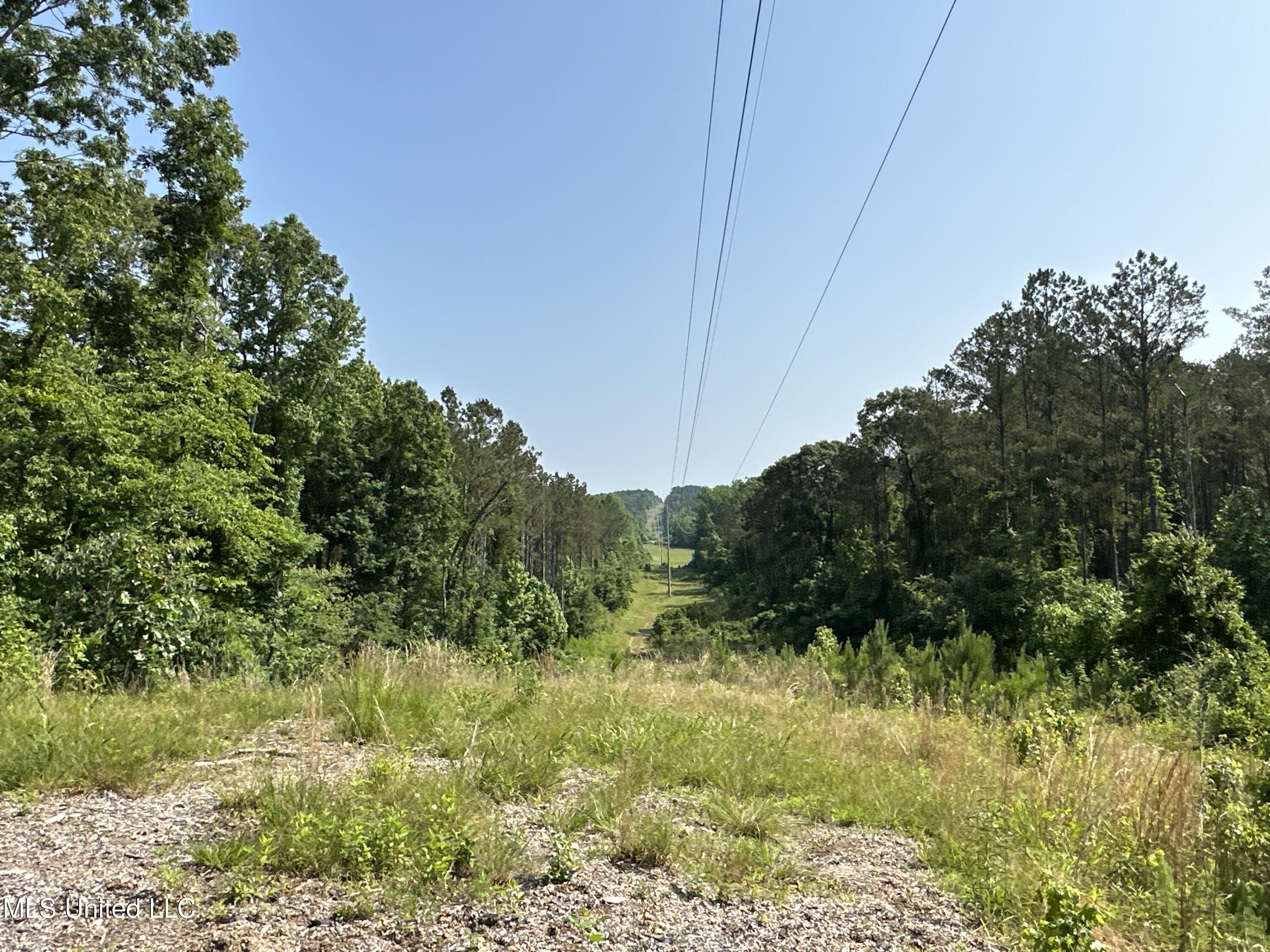 County Rd 323 Property Photo 36