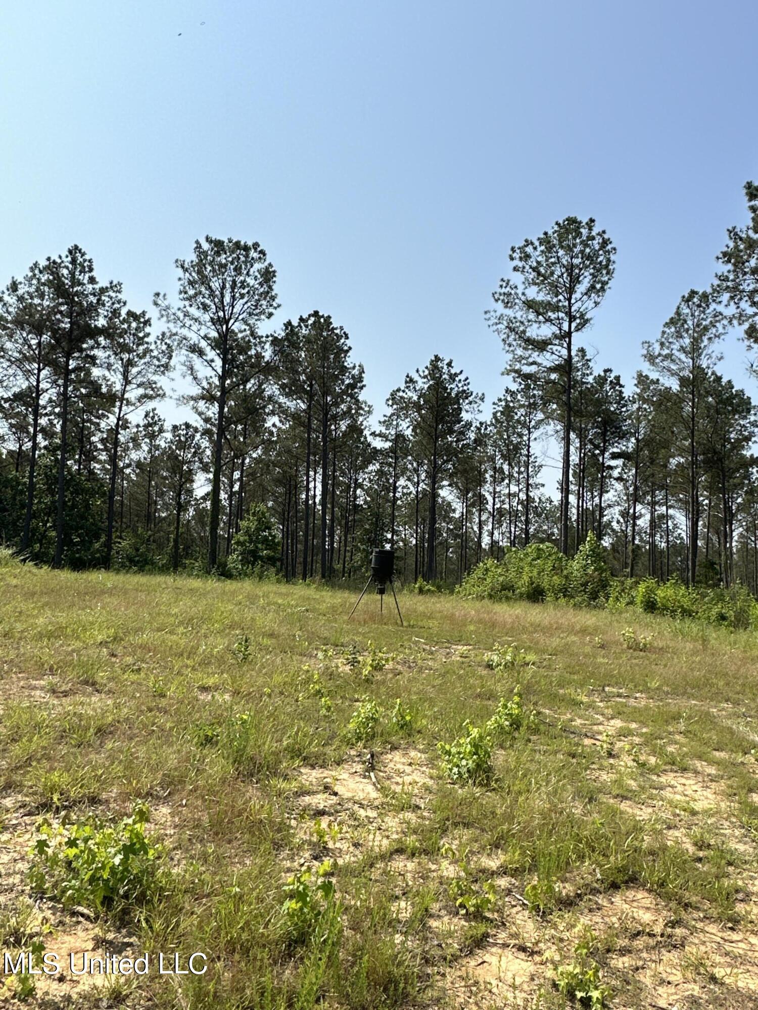 County Rd 323 Property Photo 38