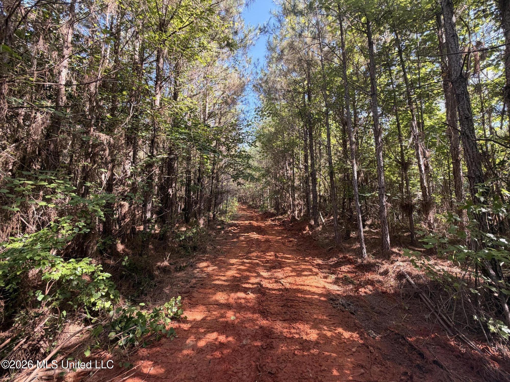 Tom Mans Road Property Photo 4
