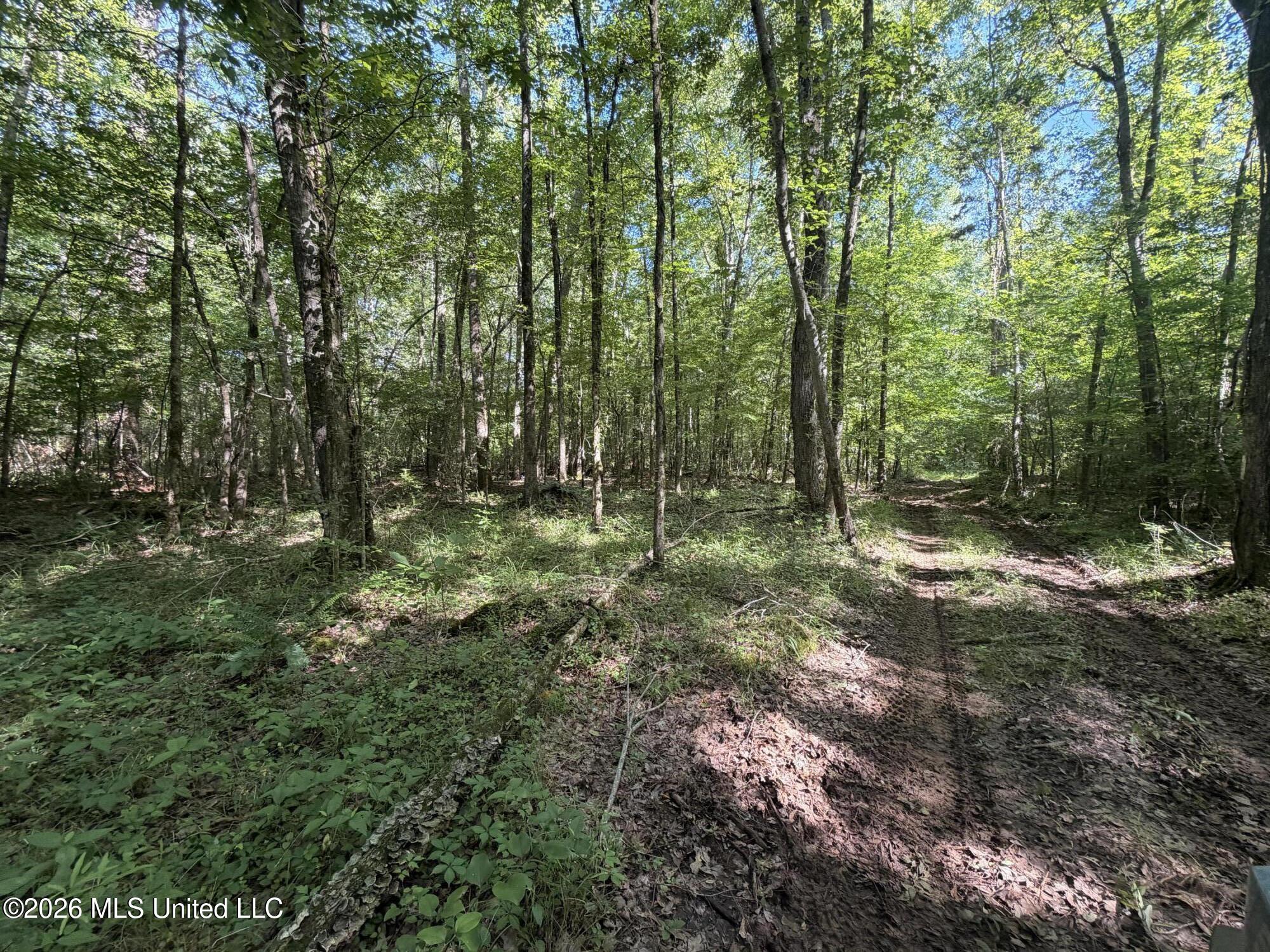 Tom Mans Road Property Photo 5