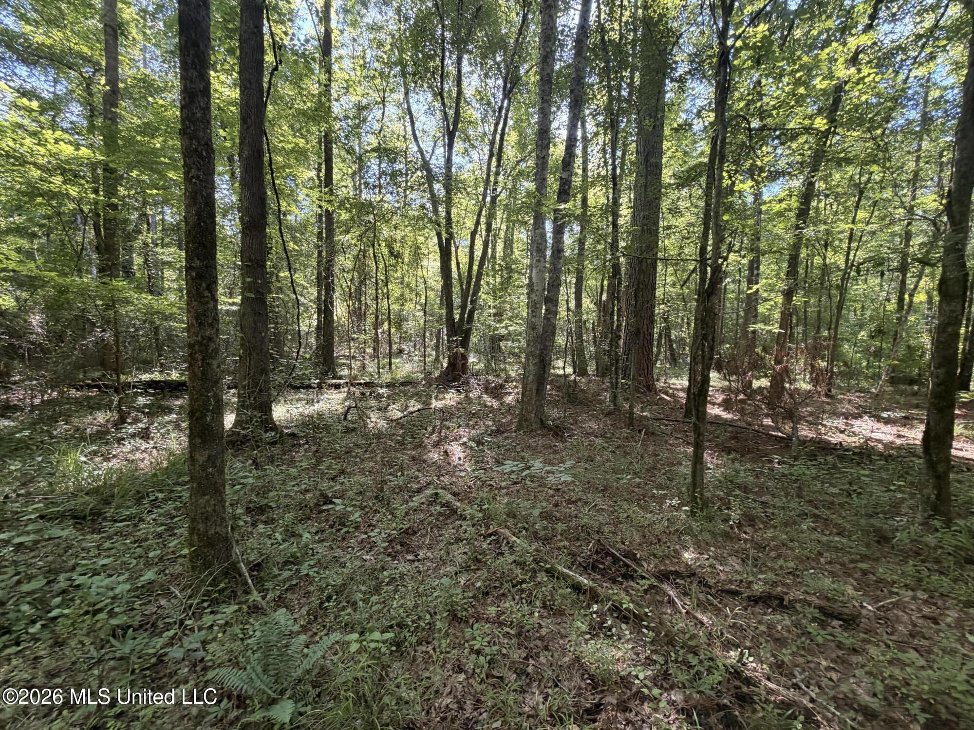 Tom Mans Road Property Photo 6