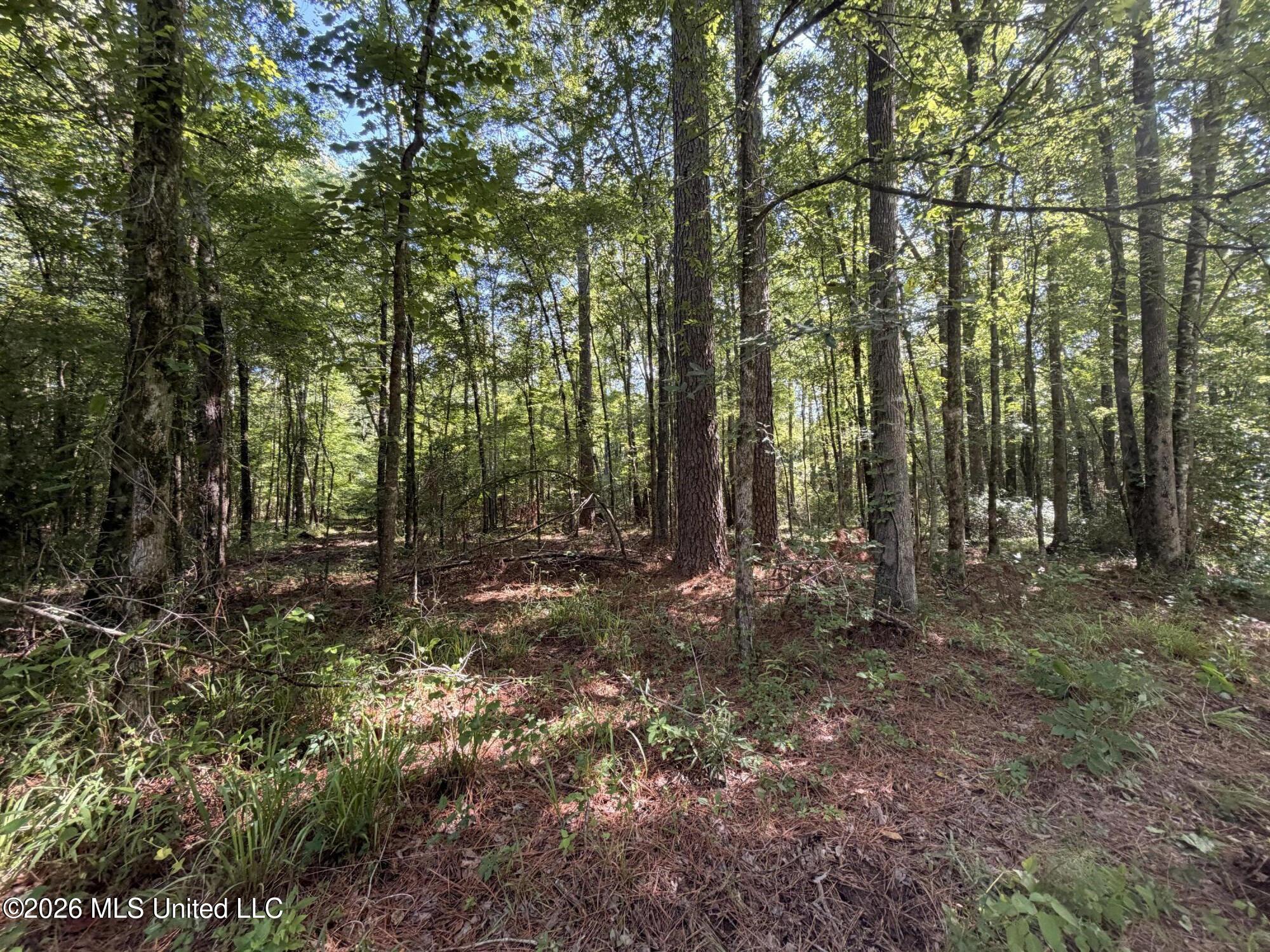 Tom Mans Road Property Photo 8