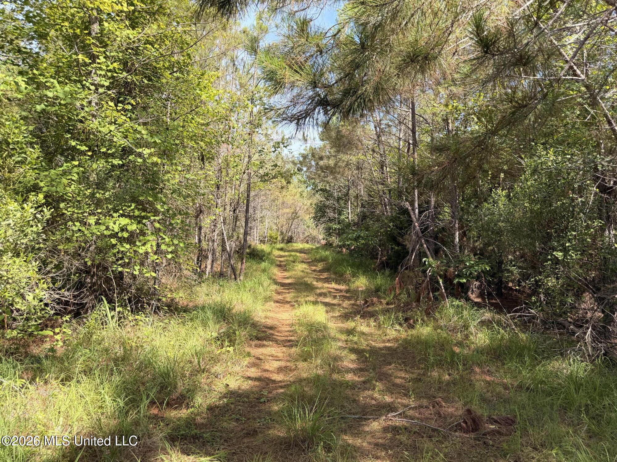 Tom Mans Road Property Photo 9