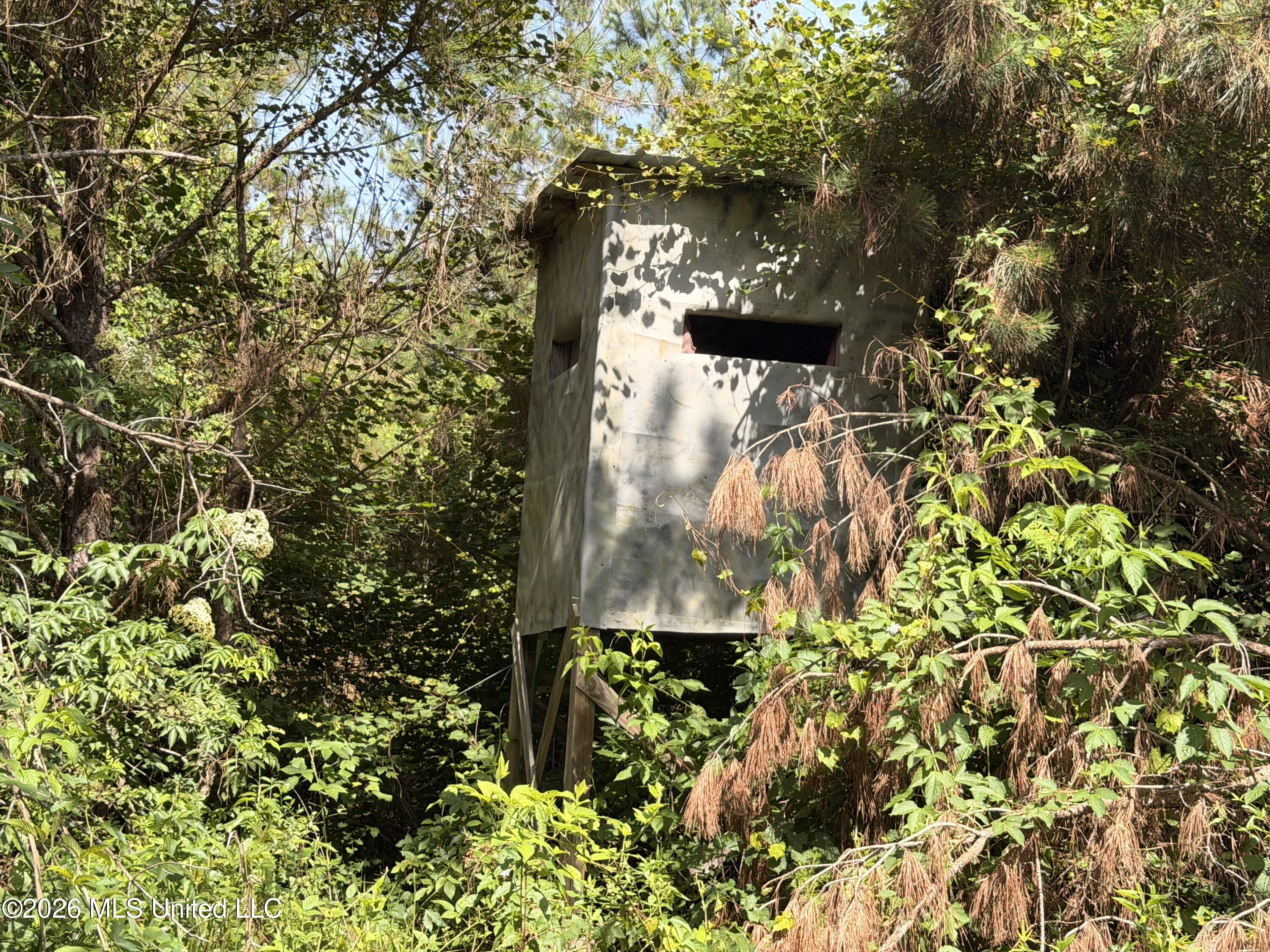 Tom Mans Road Property Photo 10