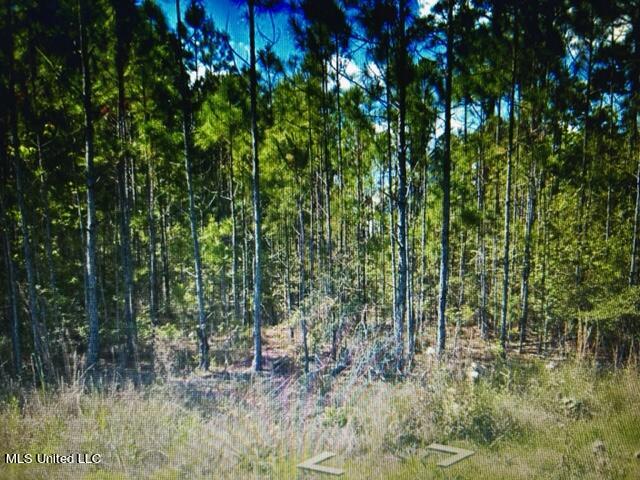 0 Trout Street Property Photo 1