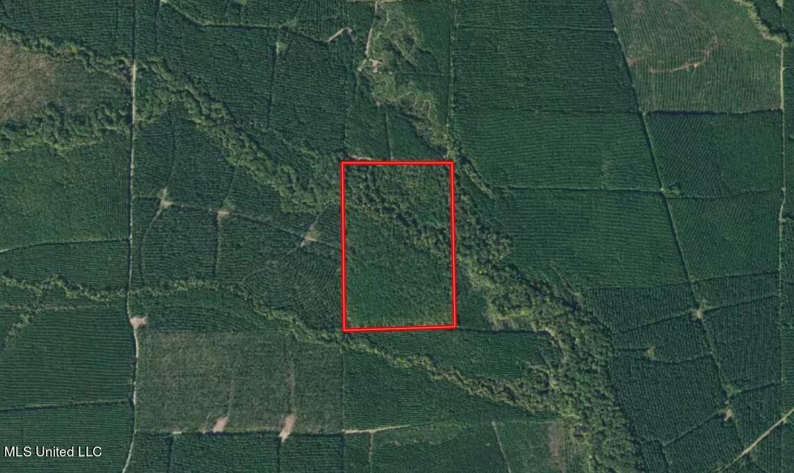 None Property Photo