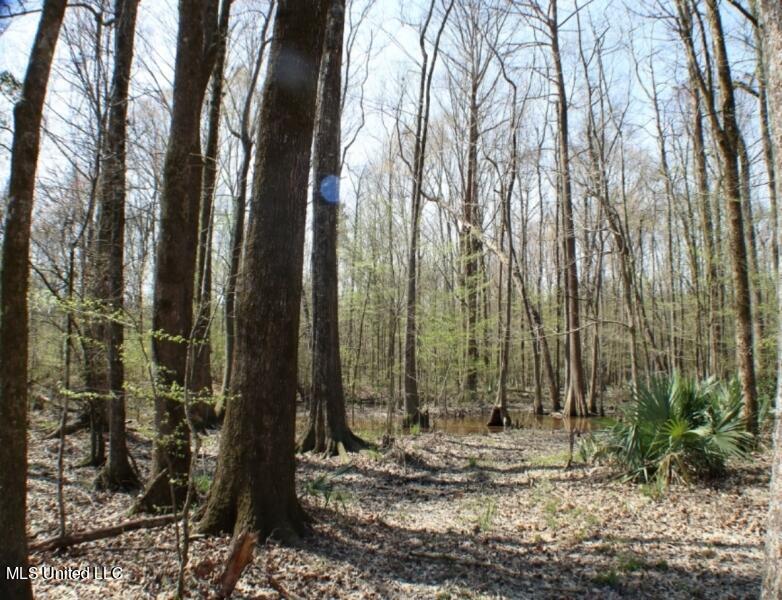 Walnut Road Property Photo 2