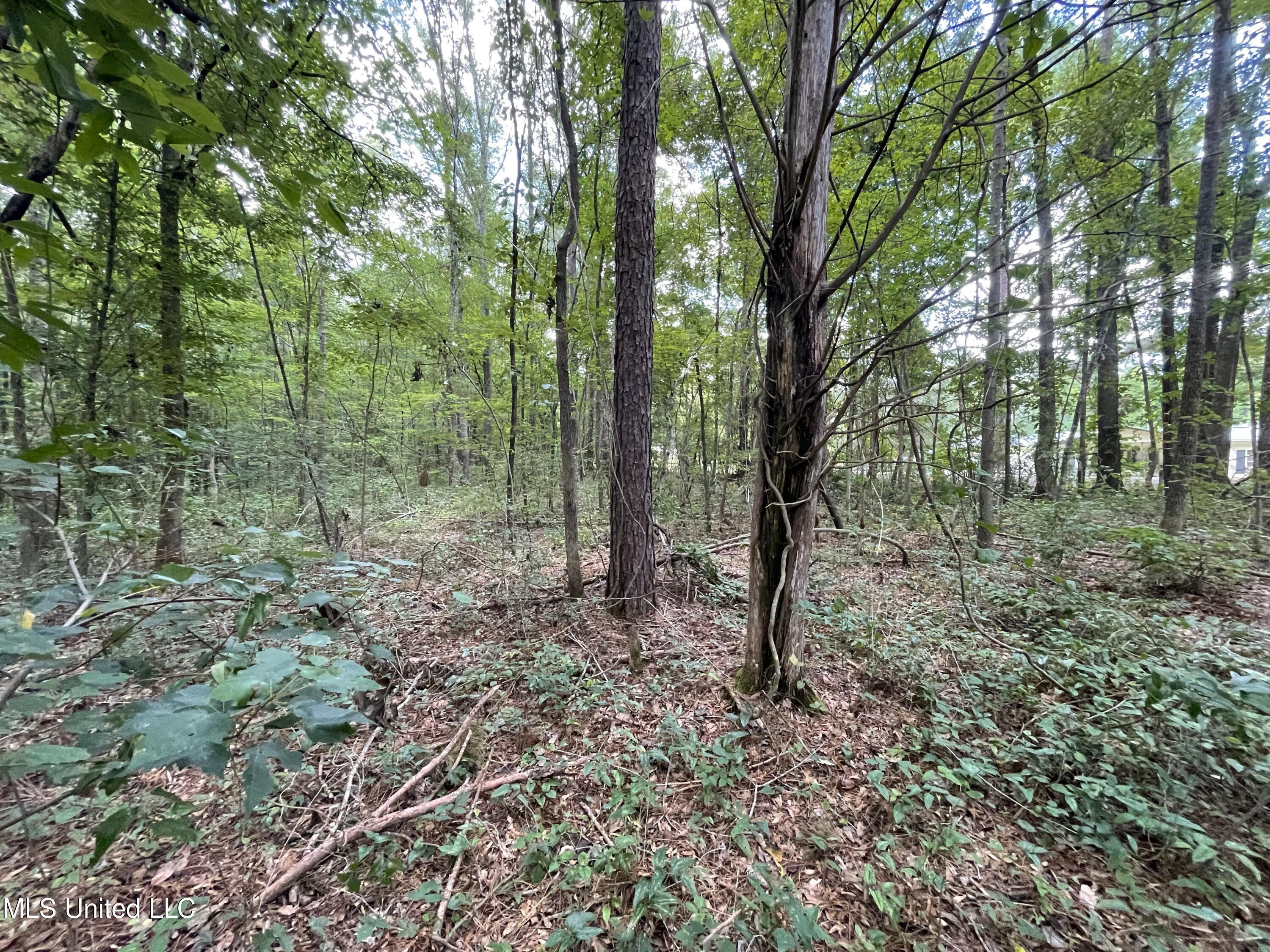 Eastside Drive Property Photo 3