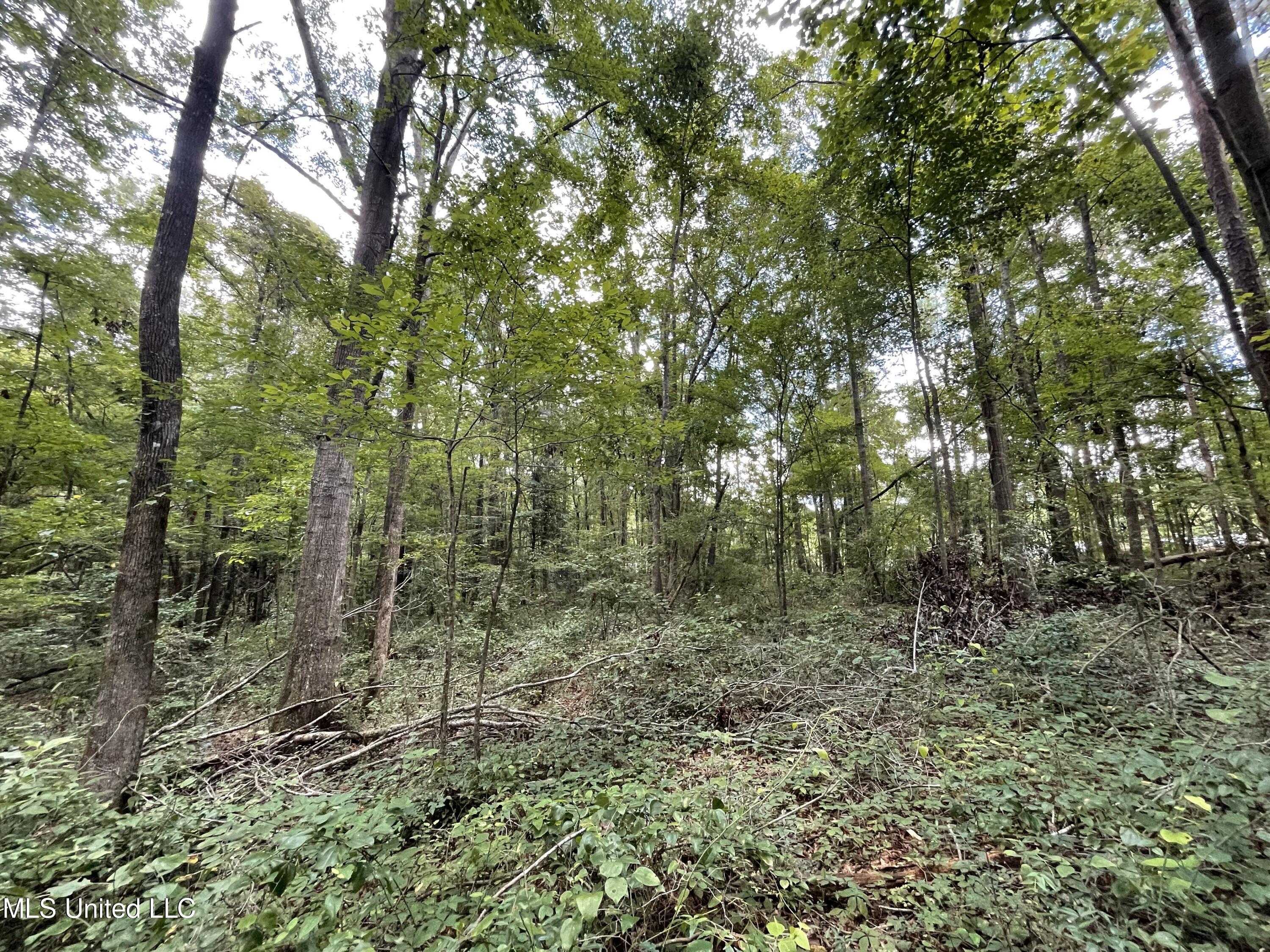 Eastside Drive Property Photo 5