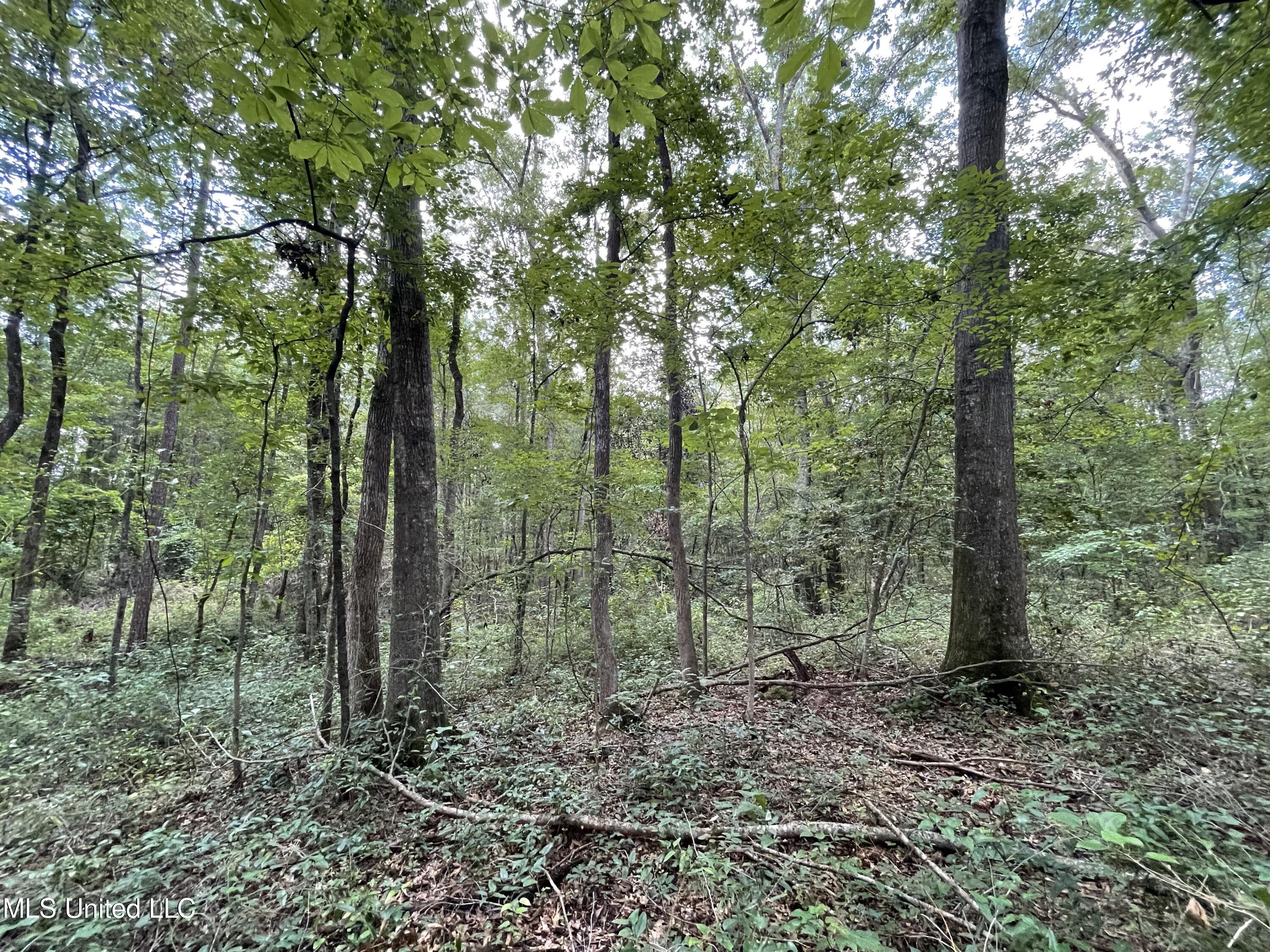Eastside Drive Property Photo 15