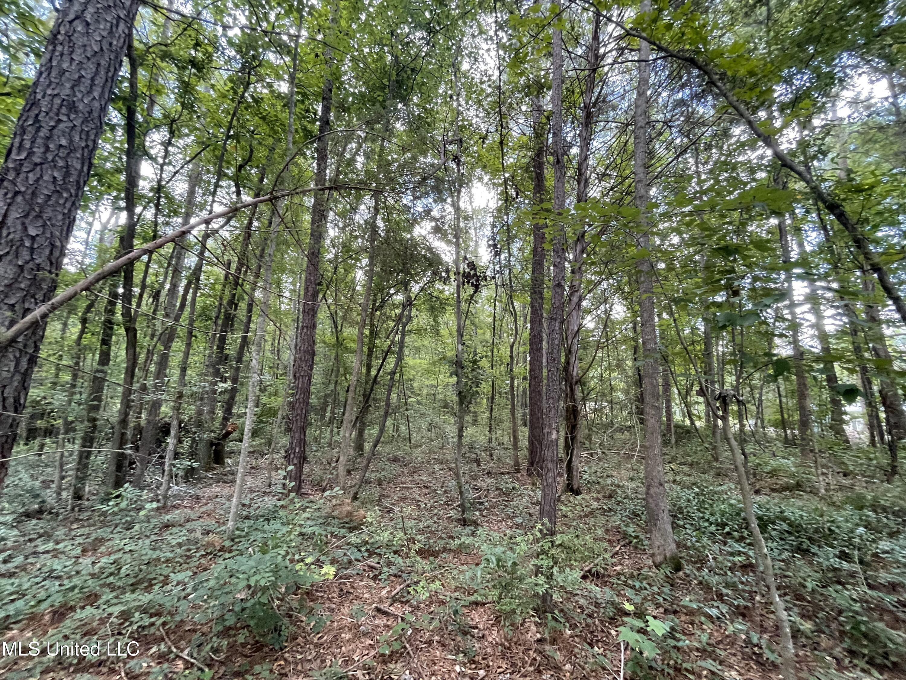 Eastside Drive Property Photo 17