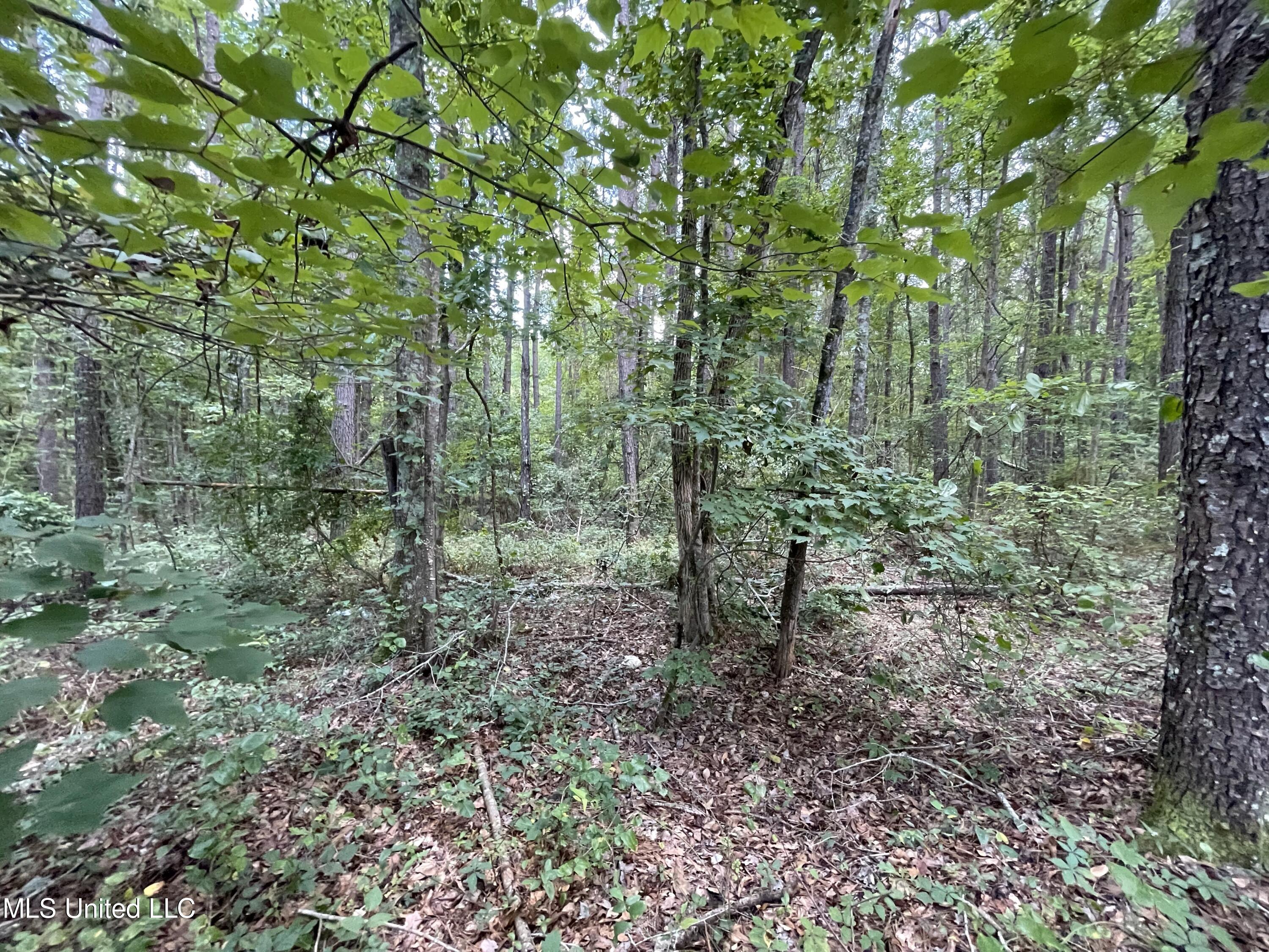Eastside Drive Property Photo 18