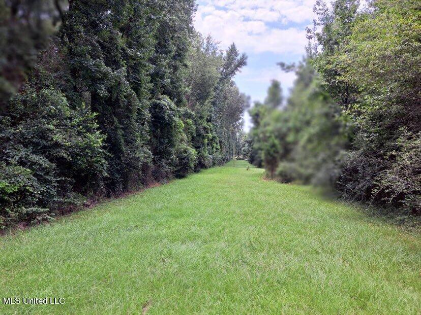 000 Colonial Drive Property Photo 1
