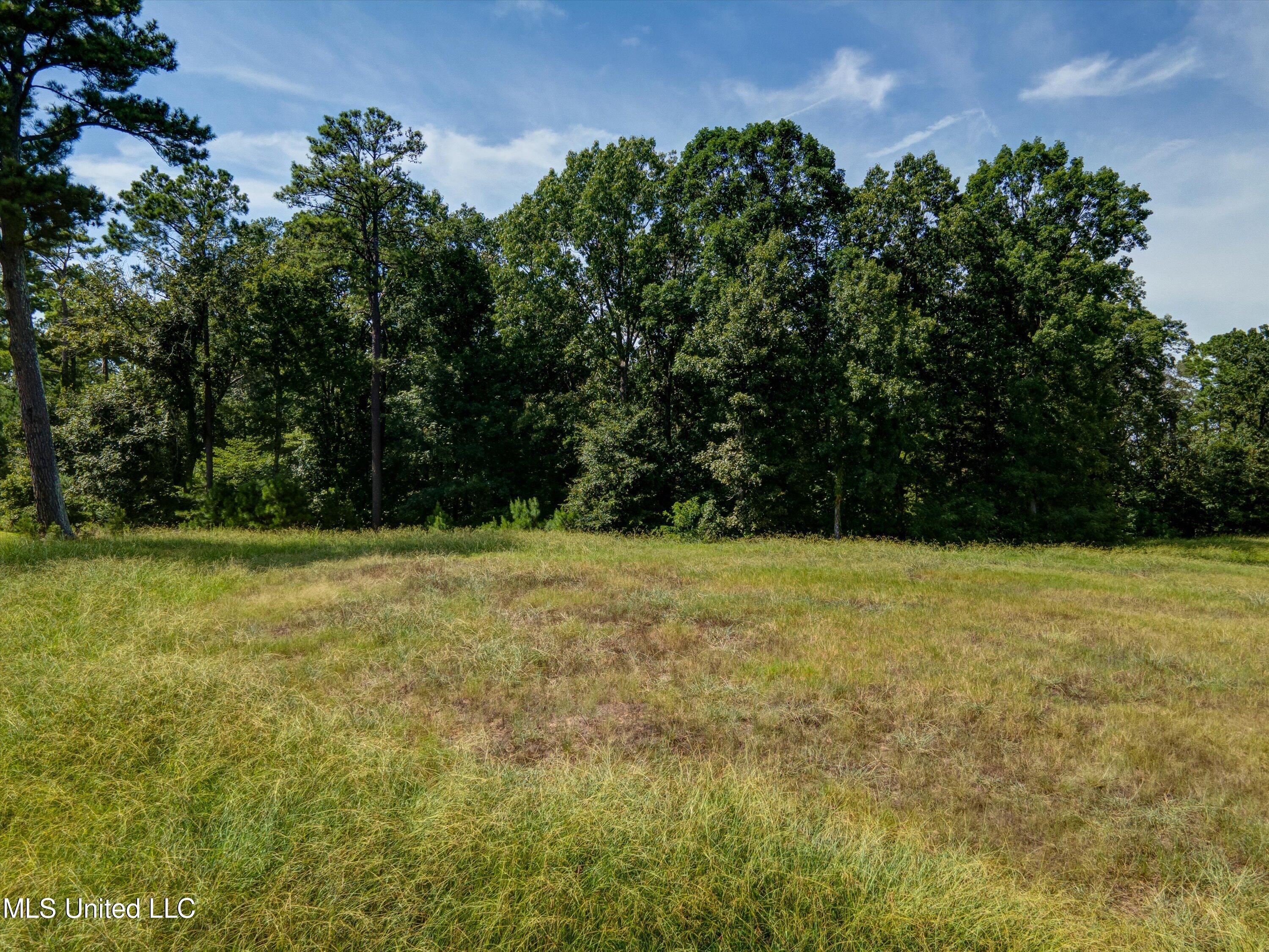 5721 Ginners Lane Property Photo 11
