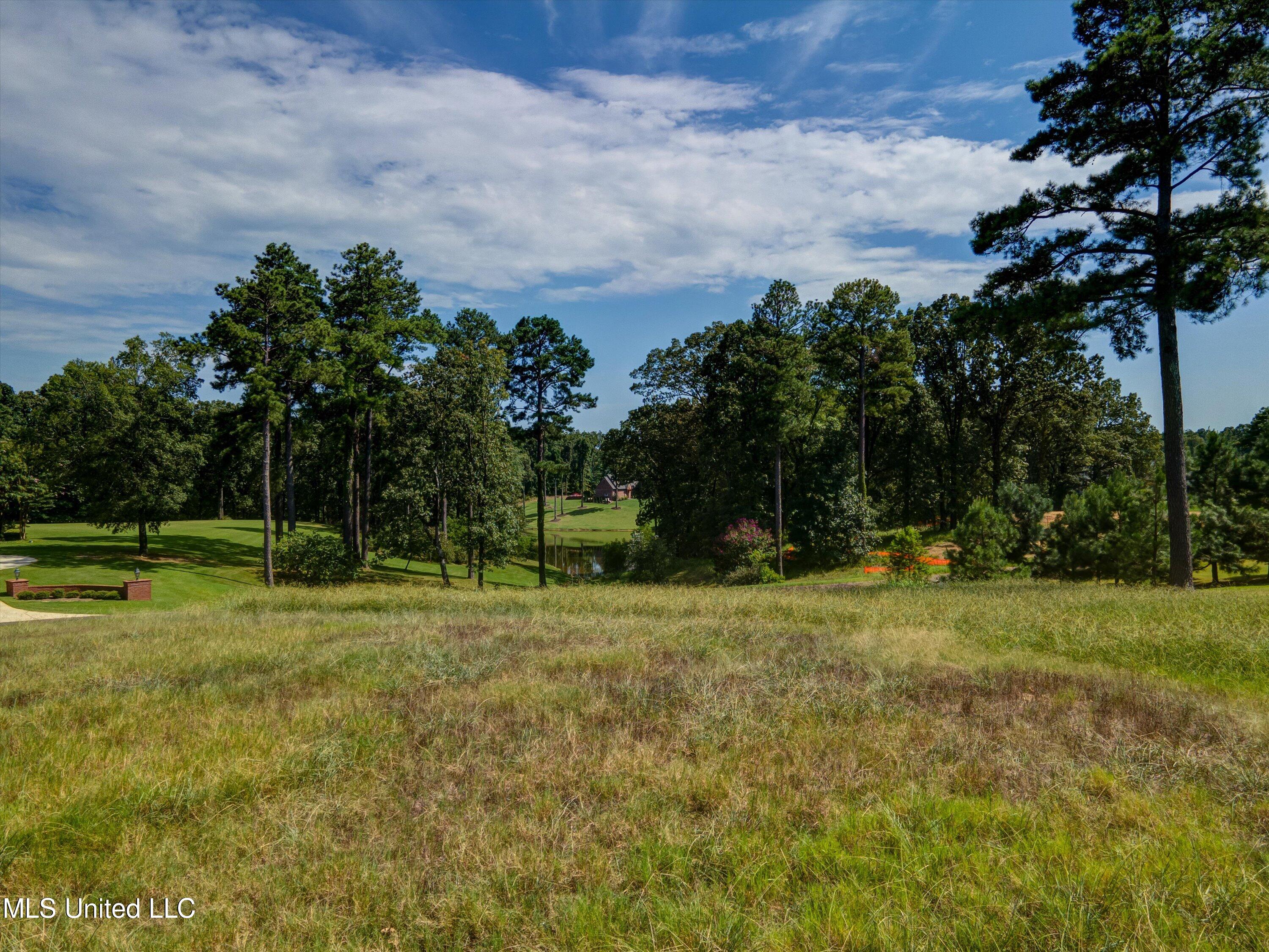 5721 Ginners Lane Property Photo 12