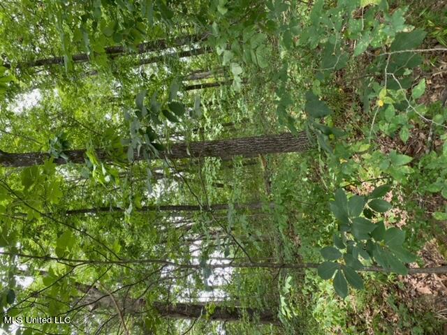 8722 Bob White Drive Property Photo 1