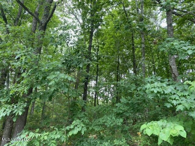 8722 Bob White Drive Property Photo 2