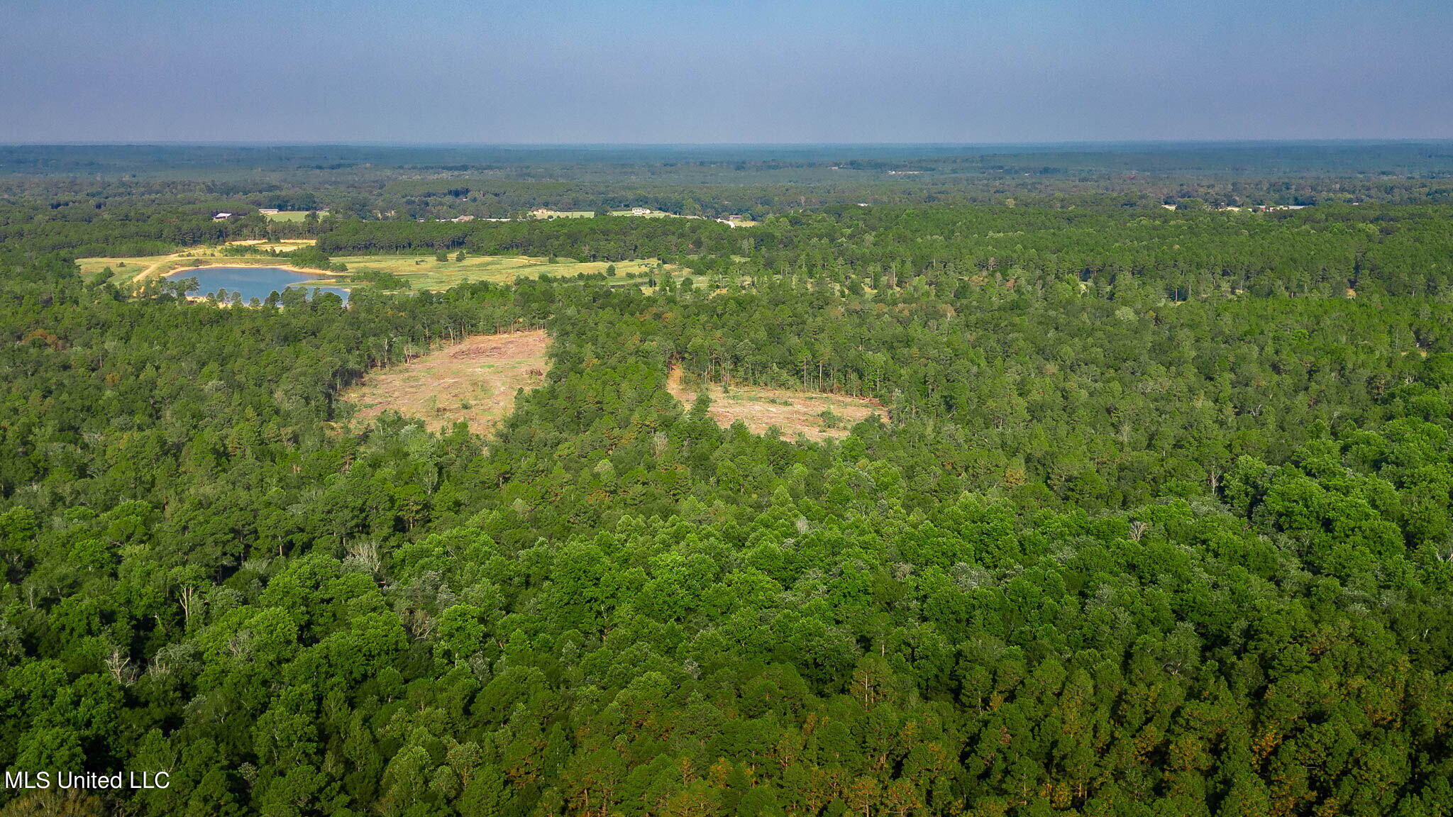 51 Ac +/- Refuge Lane Property Photo 4