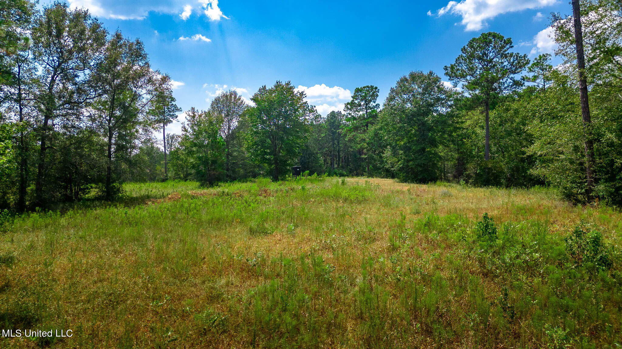 51 Ac +/- Refuge Lane Property Photo 11