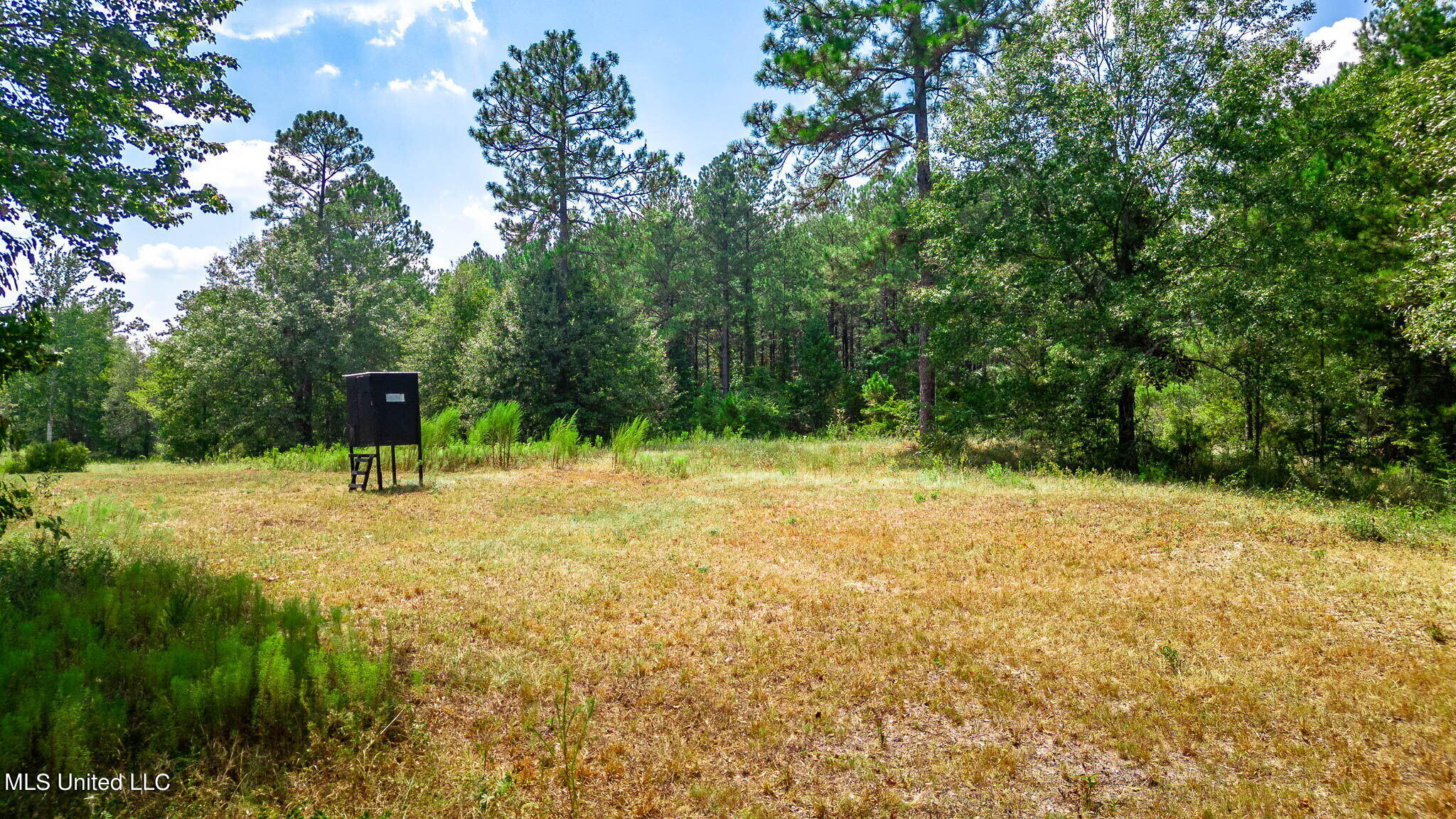 51 Ac +/- Refuge Lane Property Photo 13