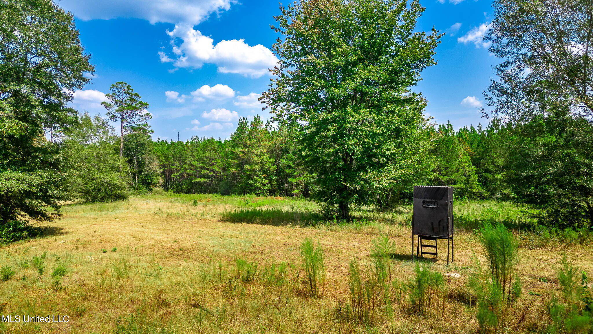 51 Ac +/- Refuge Lane Property Photo 14