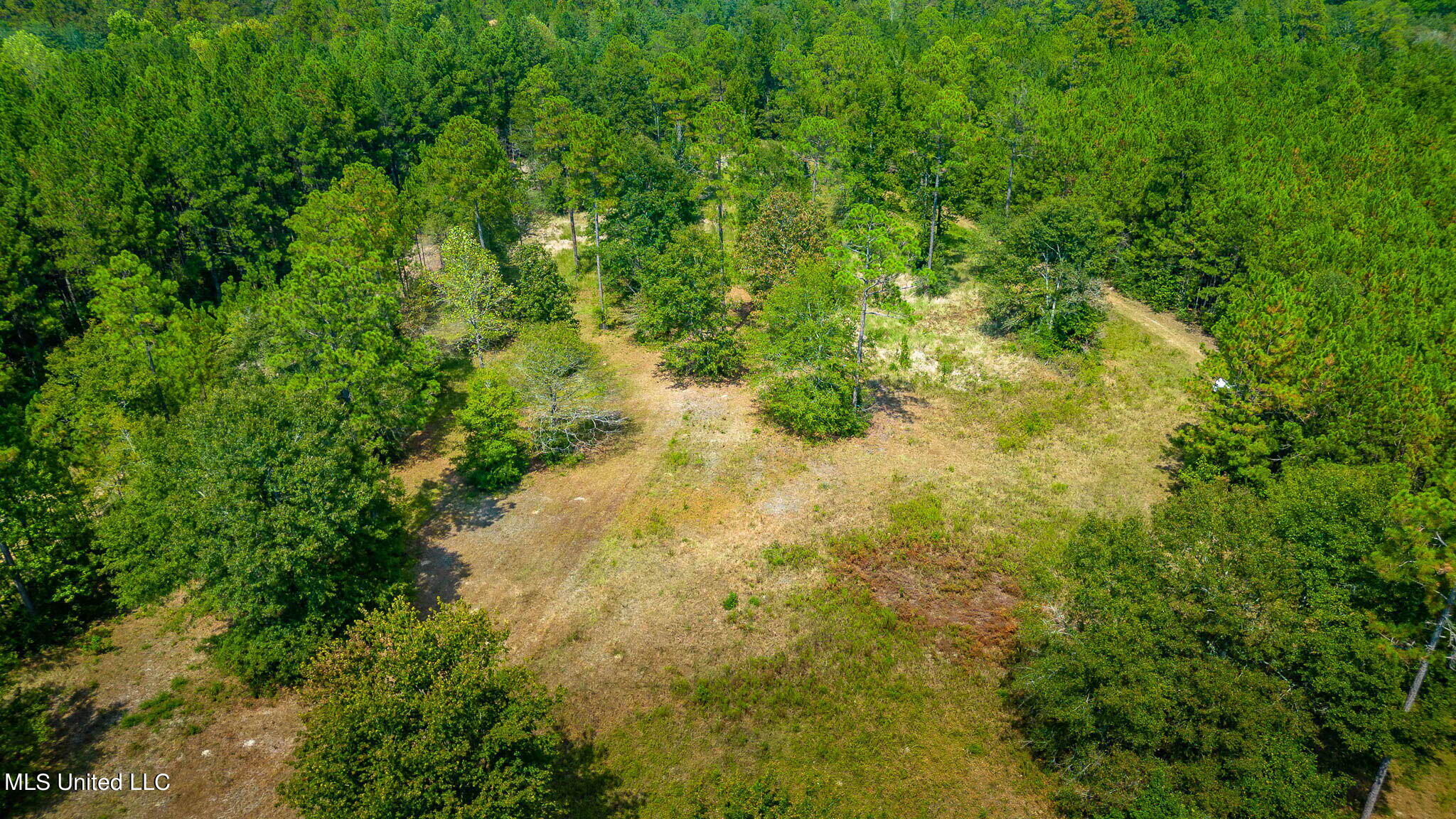51 Ac +/- Refuge Lane Property Photo 19