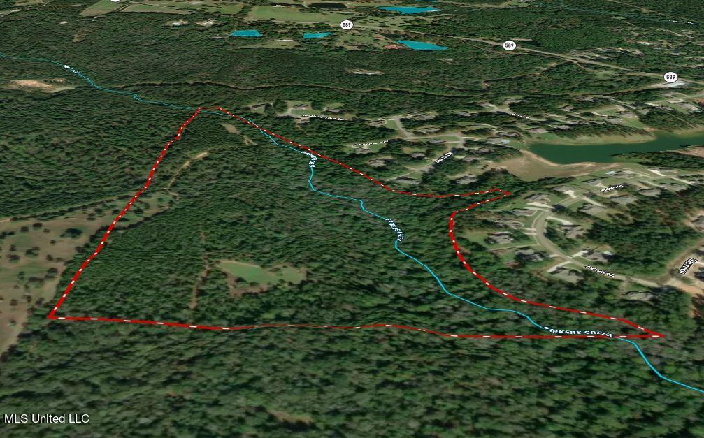 51 Ac +/- Refuge Lane Property Photo 25