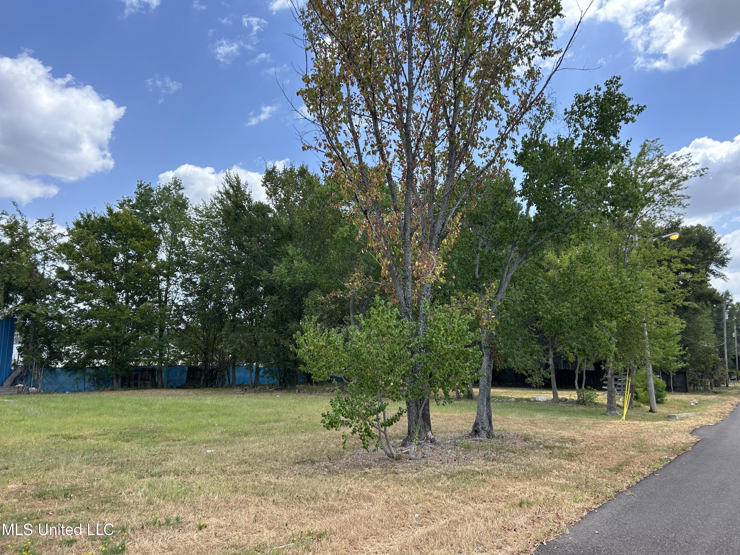 2327 Highway 80 Property Photo 4