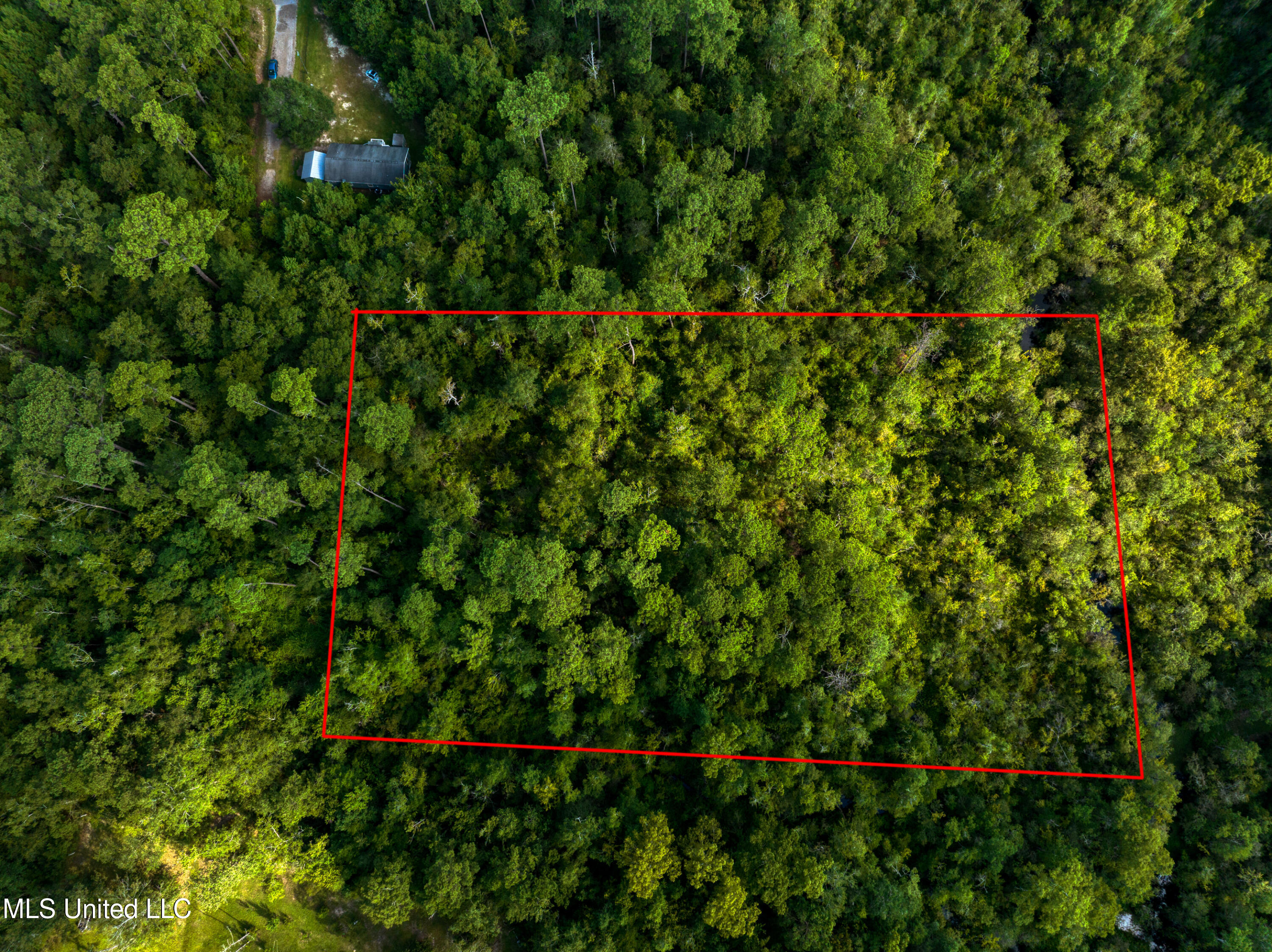 11th Avenue Property Photo 6