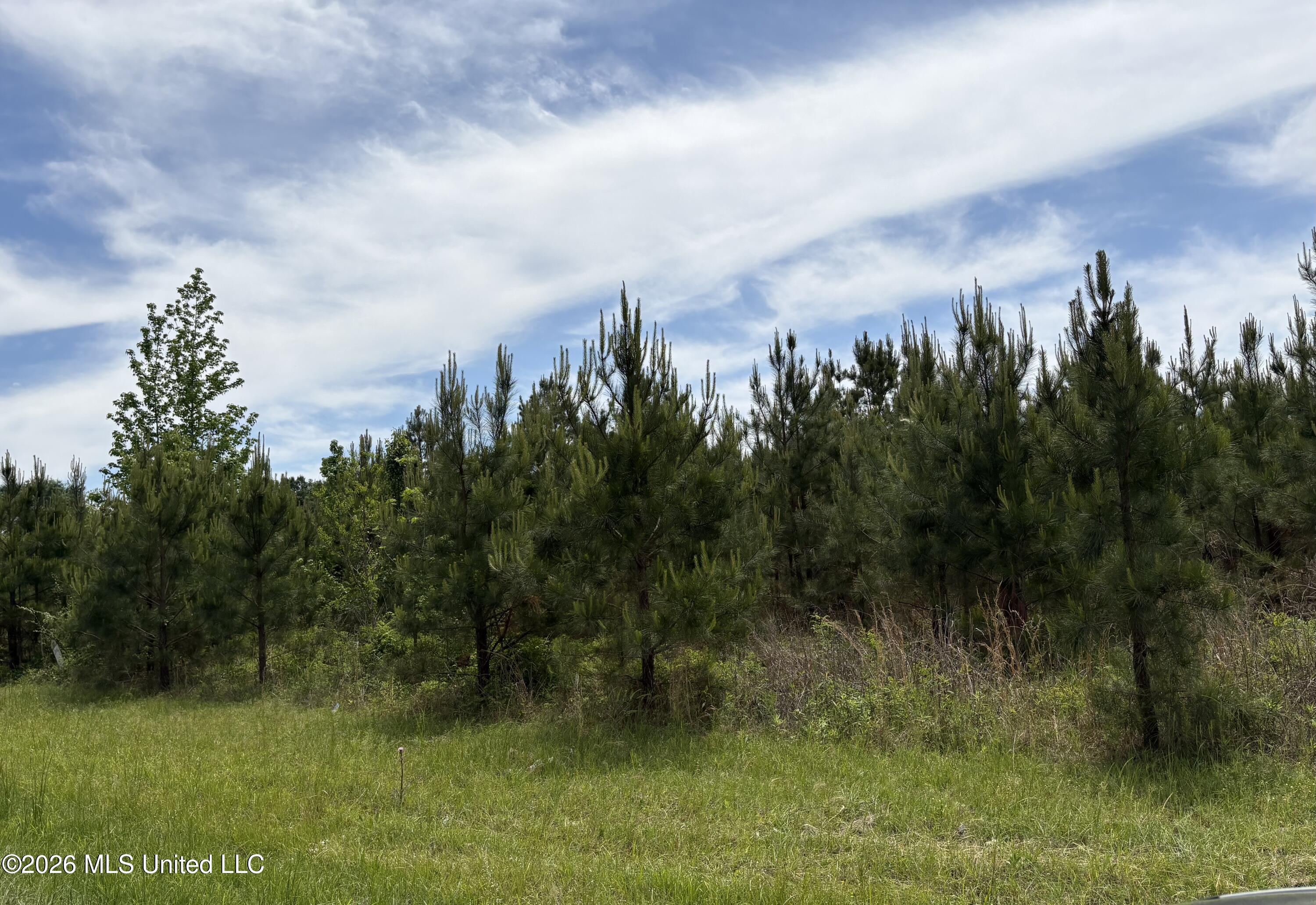 Finney Road Property Photo 5