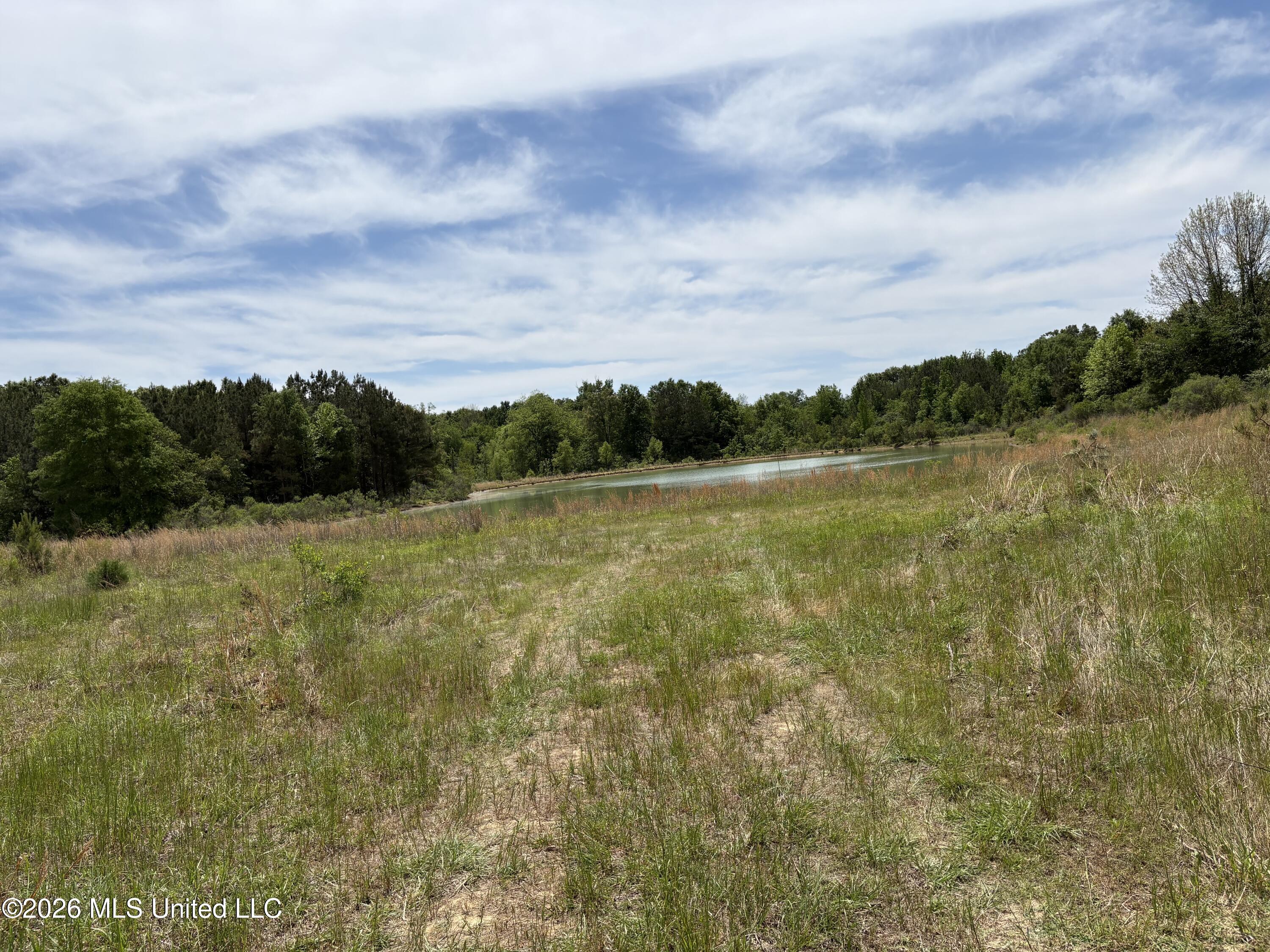 Finney Road Property Photo 6
