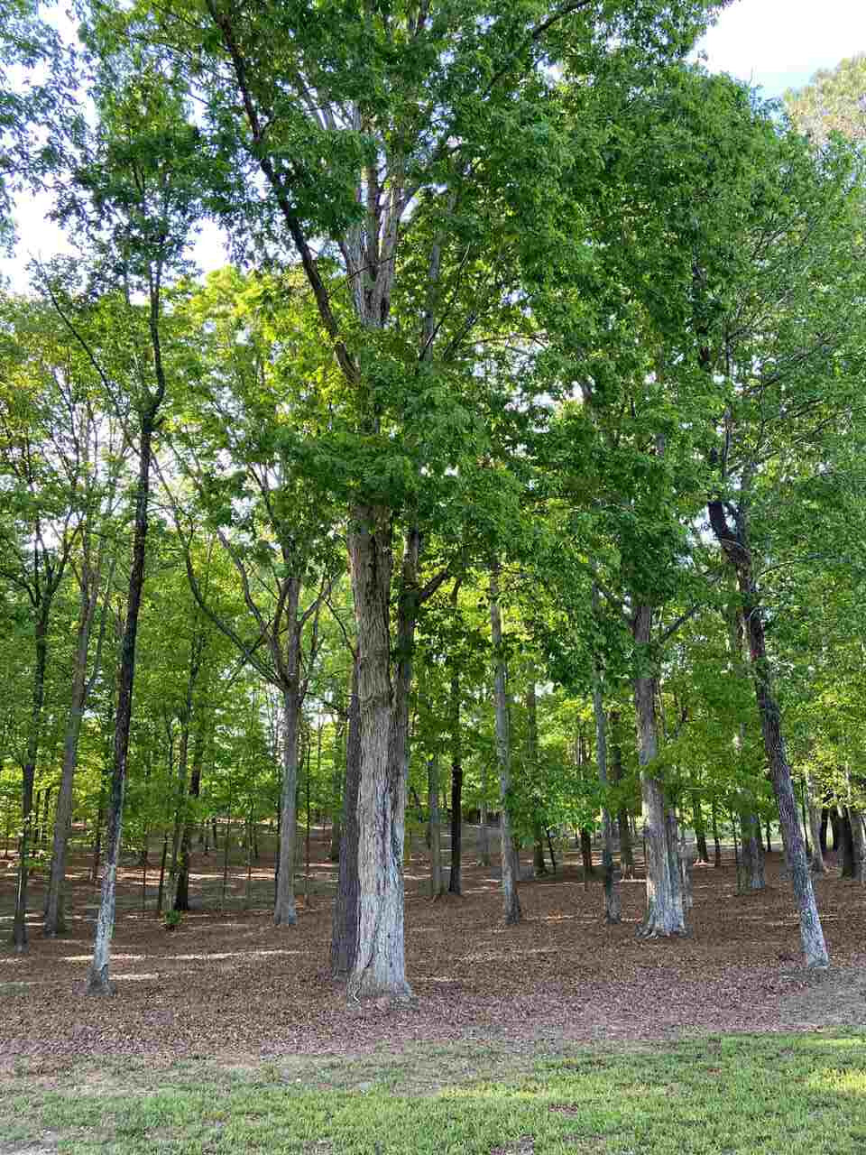 E Franklin Street Property Photo 22