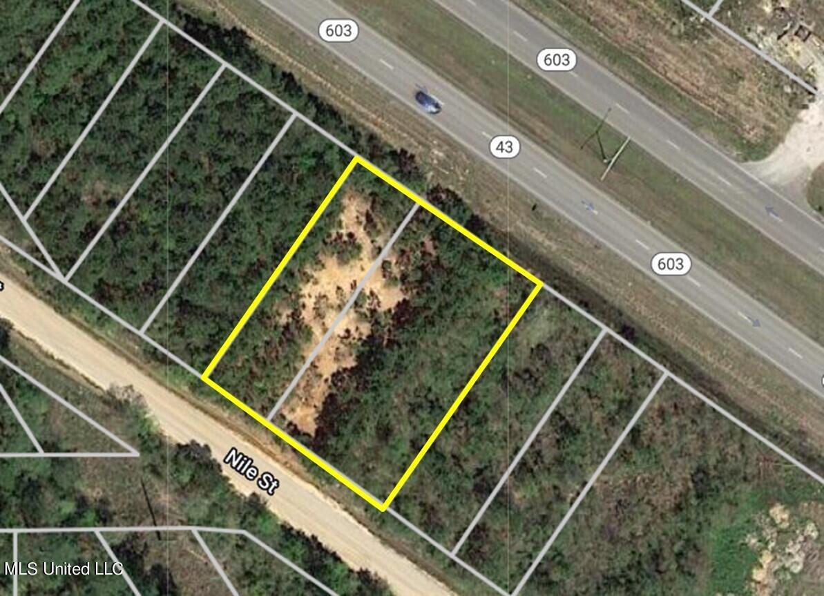 10623 Highway 603 Property Photo 1