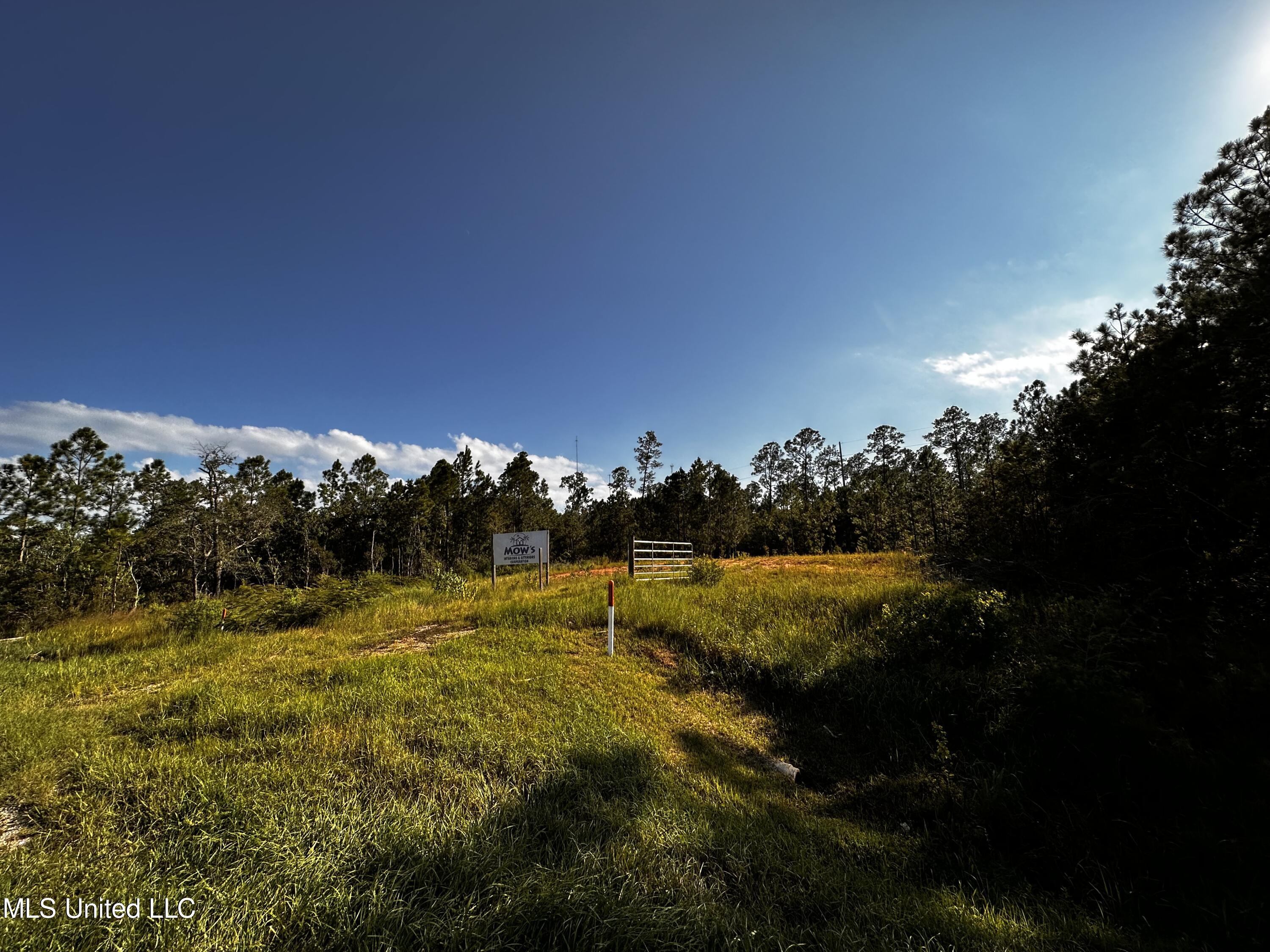 10623 Highway 603 Property Photo 4