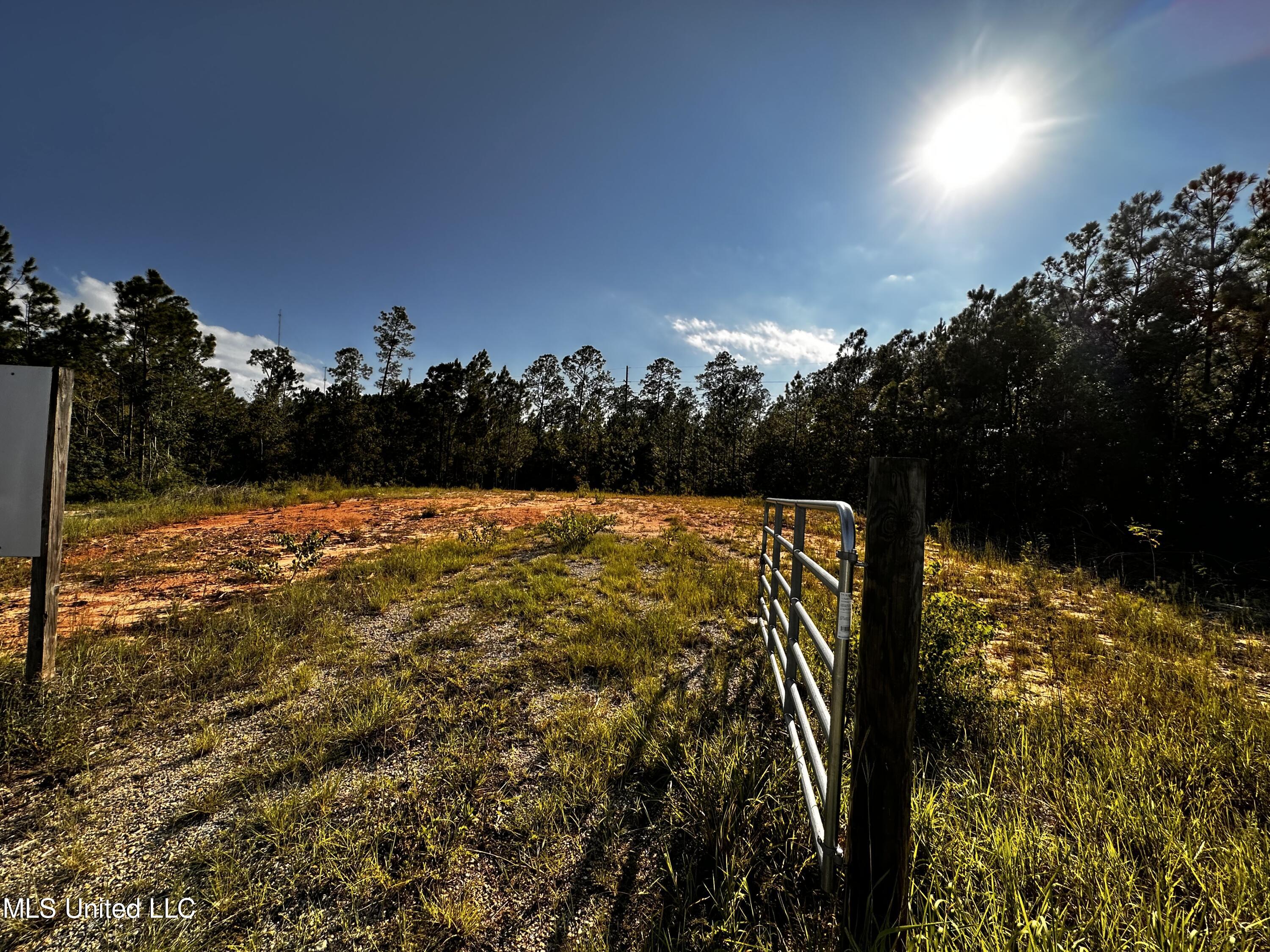 10623 Highway 603 Property Photo 6