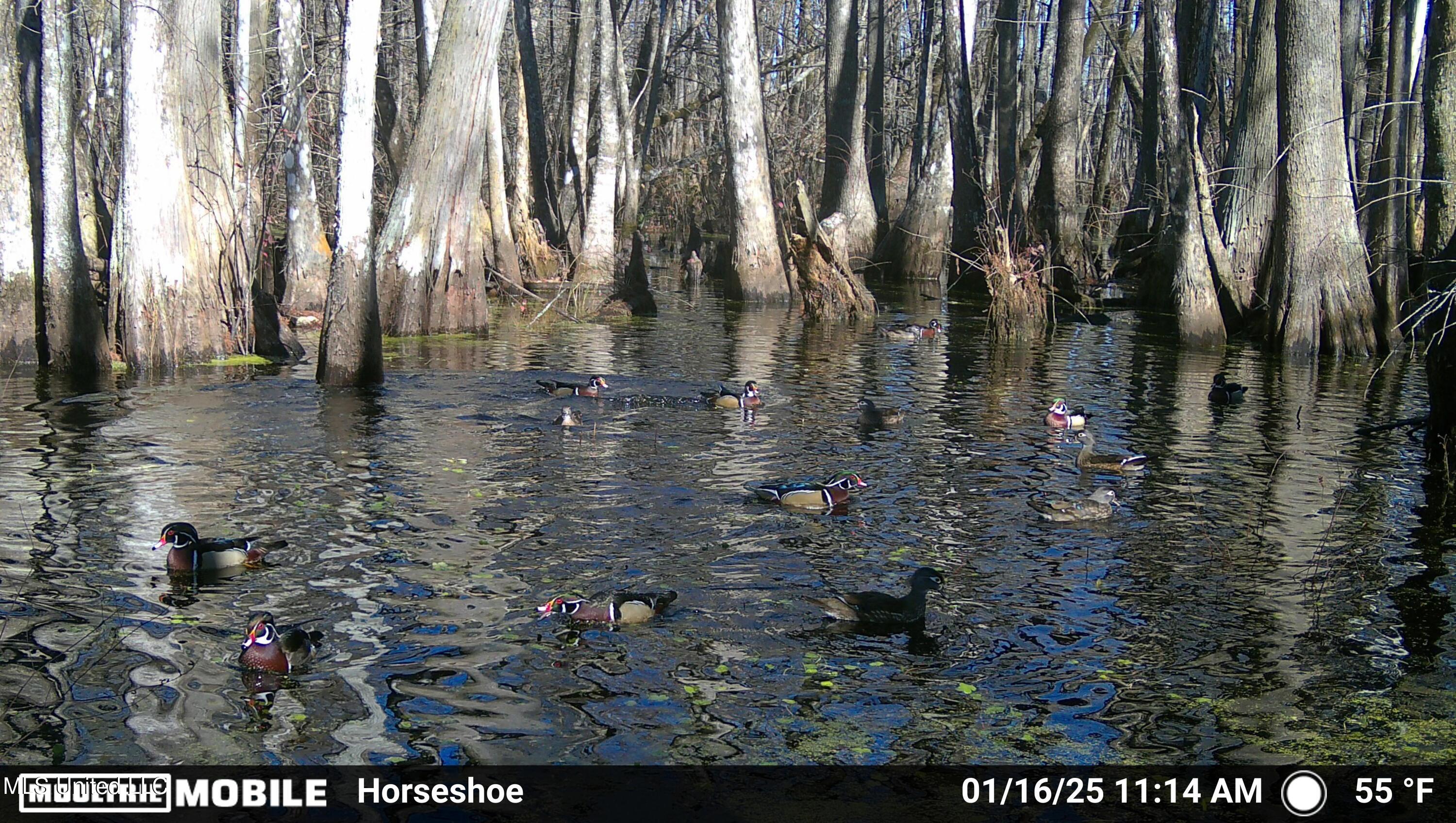 4676 Quofaloma Road Property Photo 1