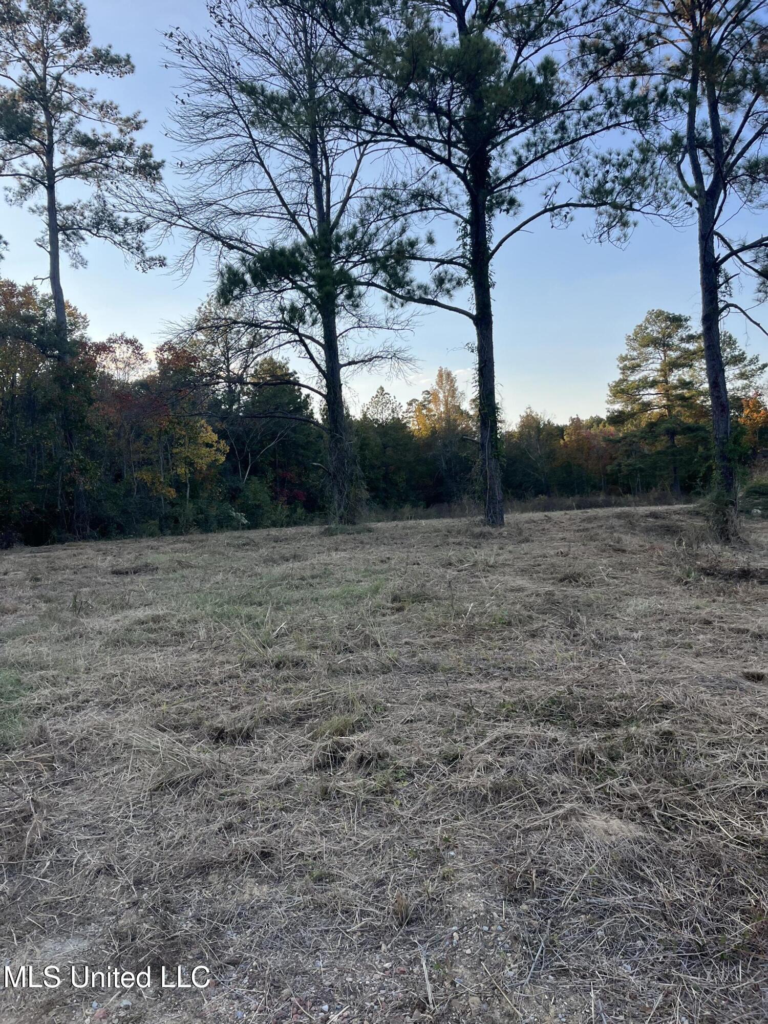 2800 Lake View Road Property Photo 7