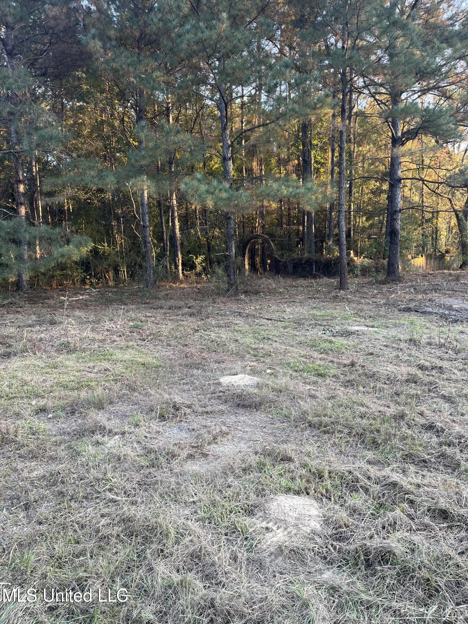 2800 Lake View Road Property Photo 10