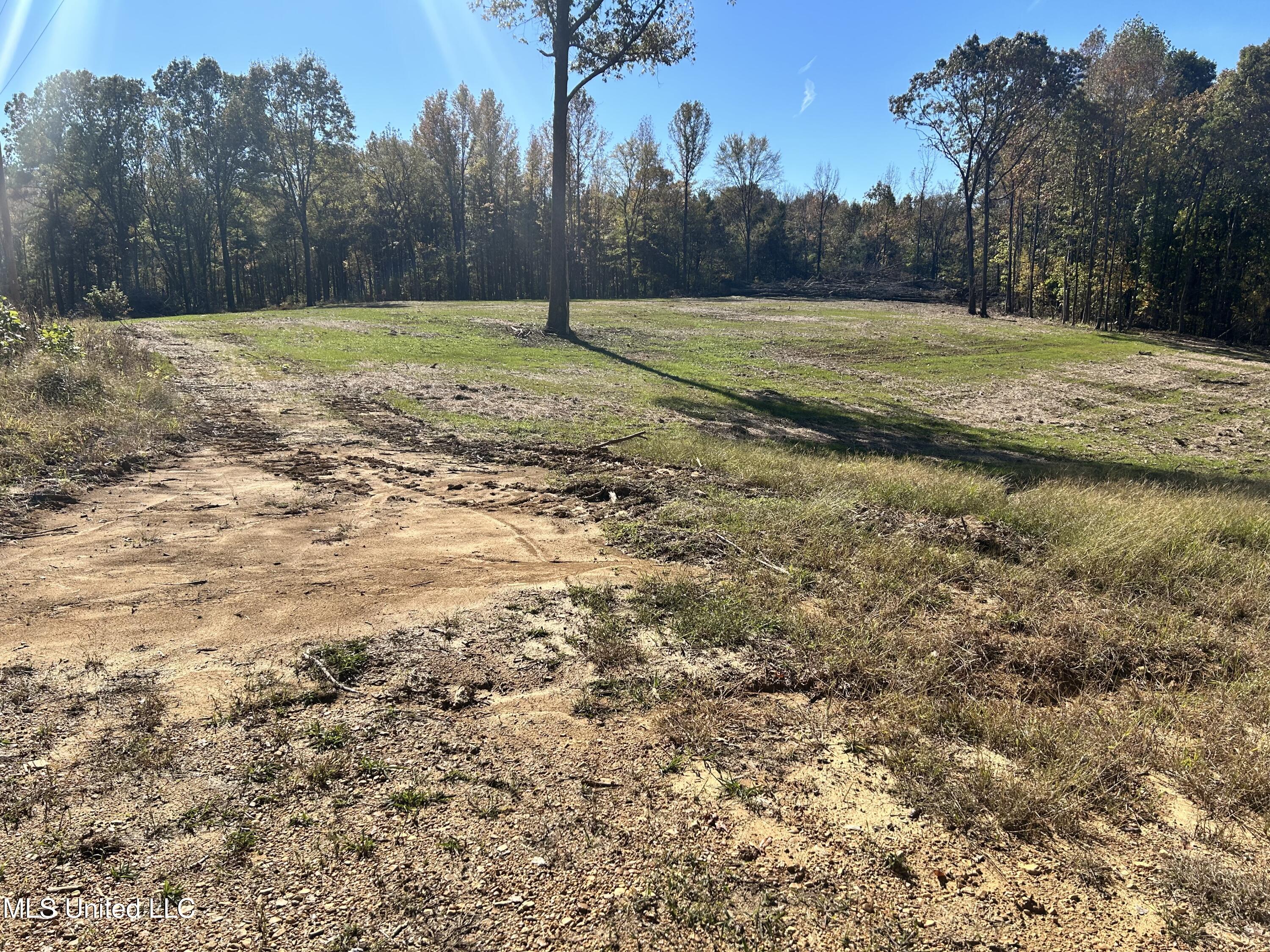 5163 S Hwy 51 Property Photo 2