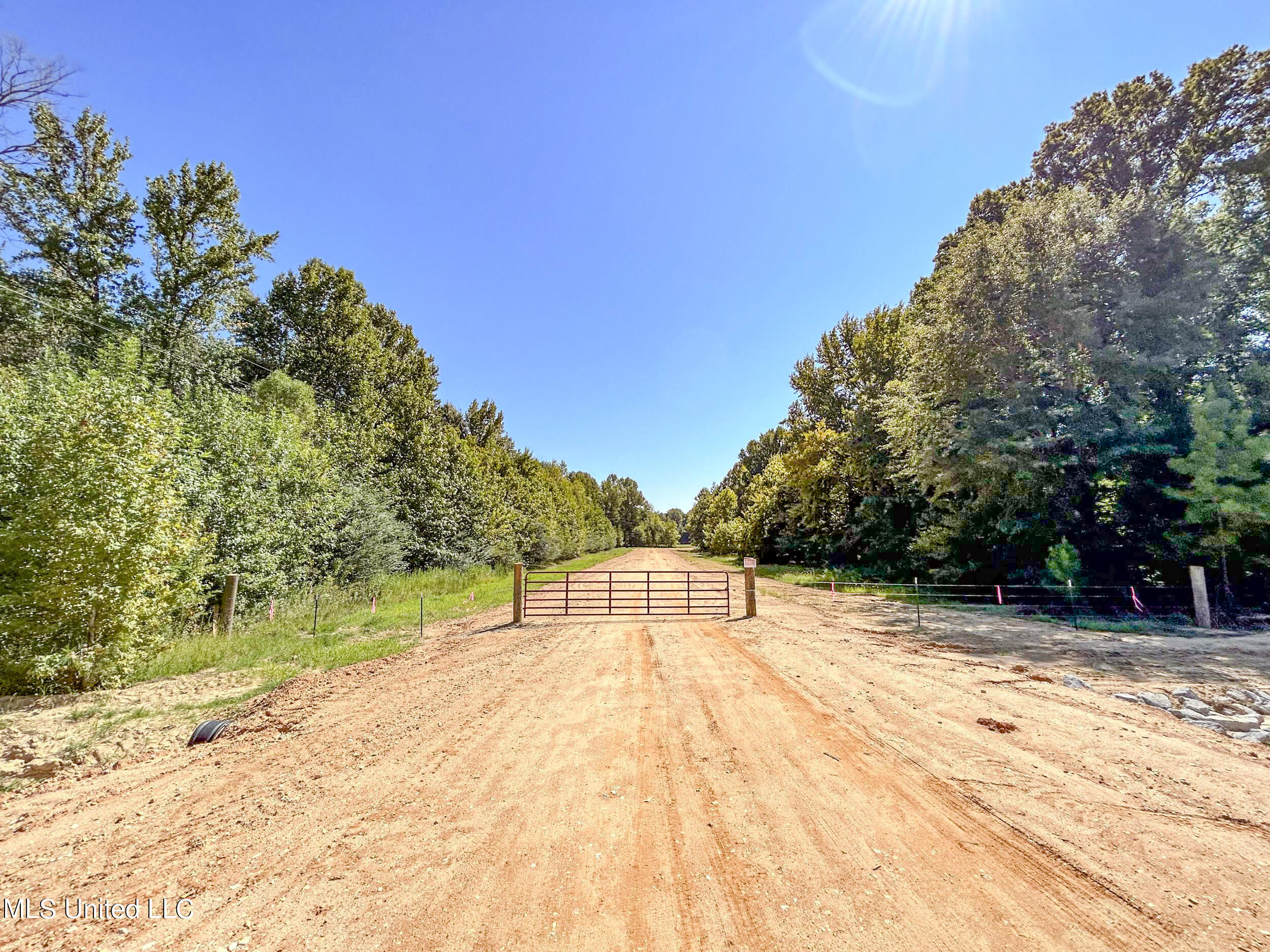 26tbd House-carlson Drive Property Photo 32