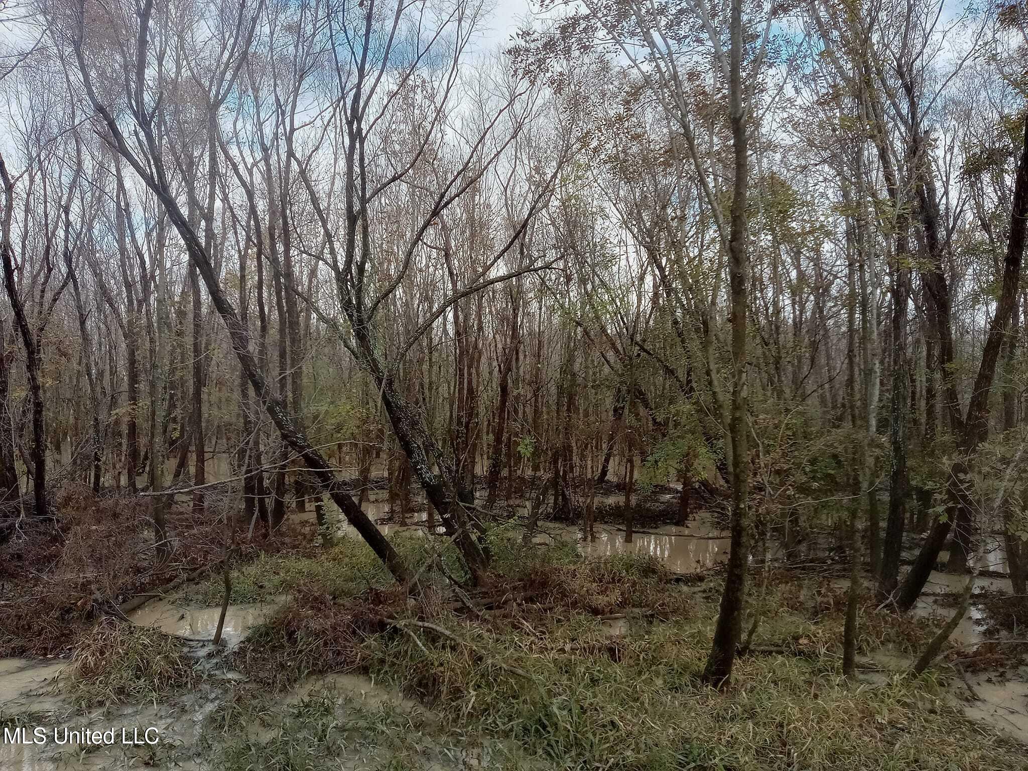 237 King Williams Road Property Photo 10