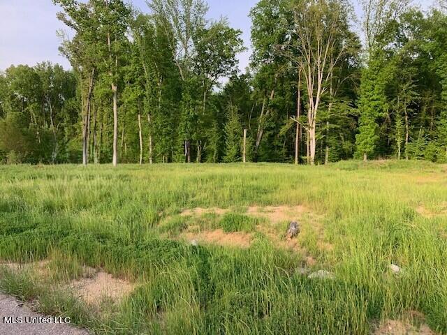 2914 S Cypress Lake Drive Property Photo 2