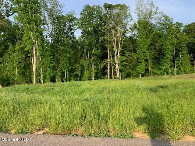 2914 S Cypress Lake Drive Property Photo 3