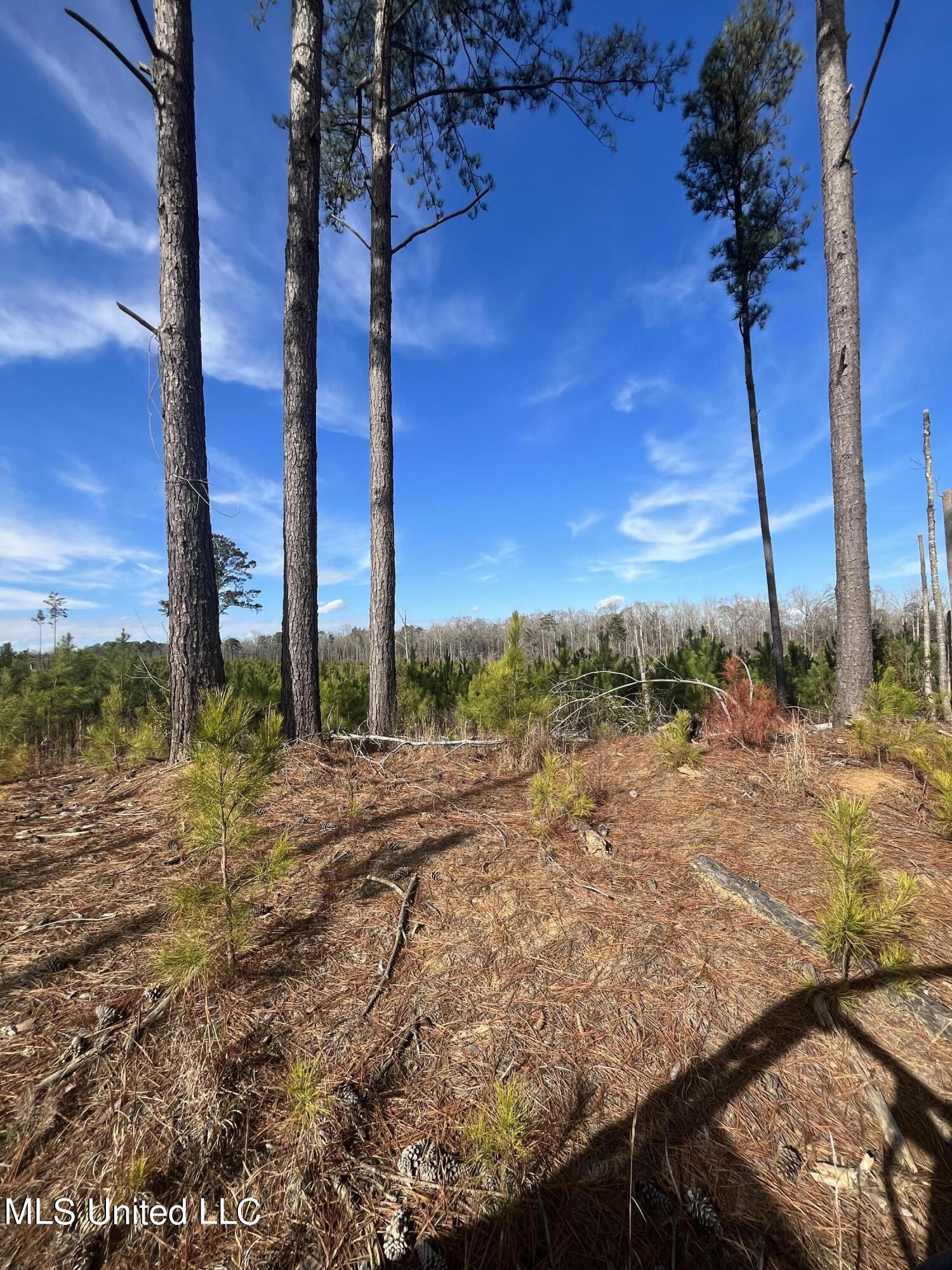 01 Highway 19 Property Photo 2