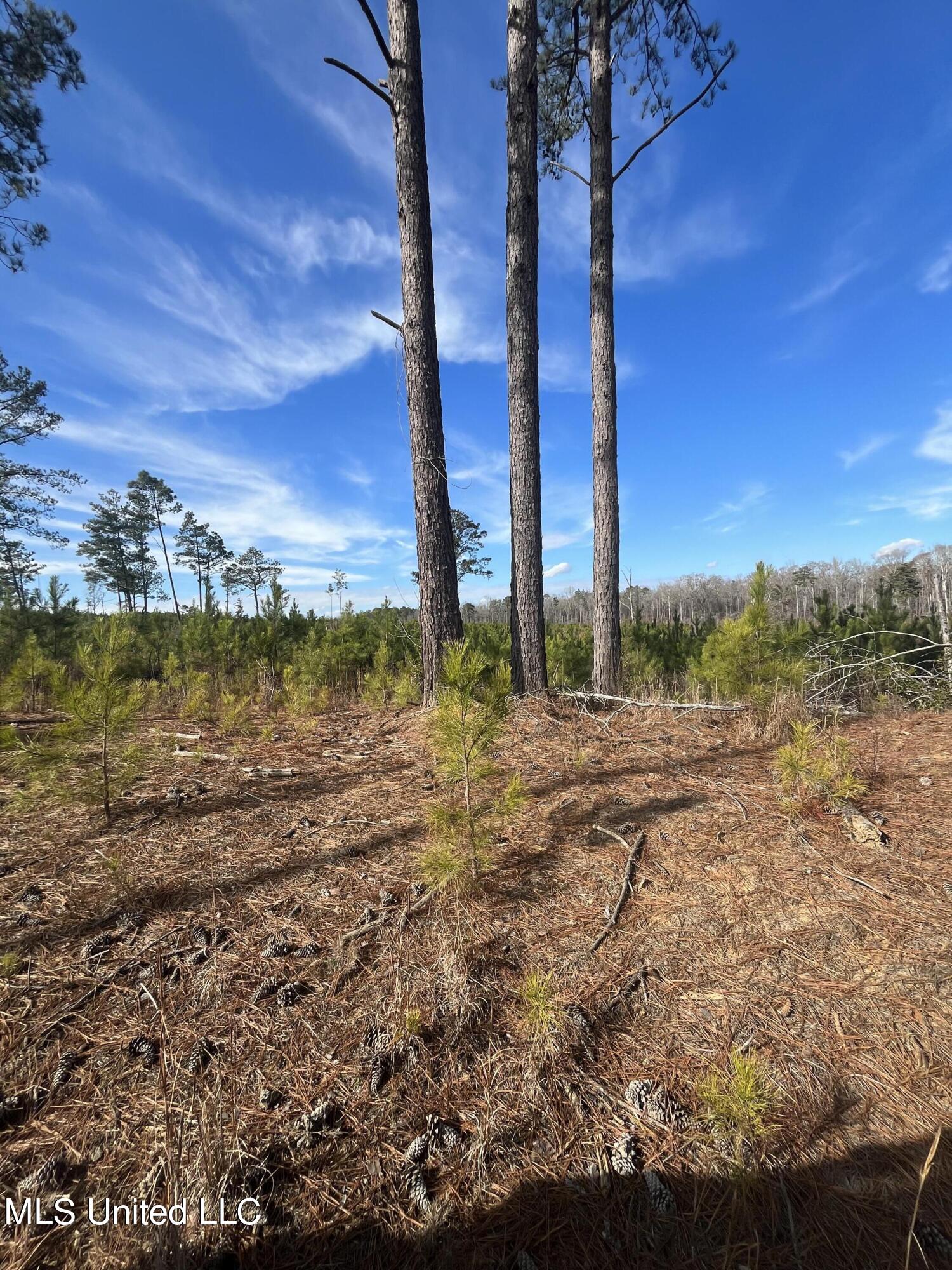 01 Highway 19 Property Photo 3