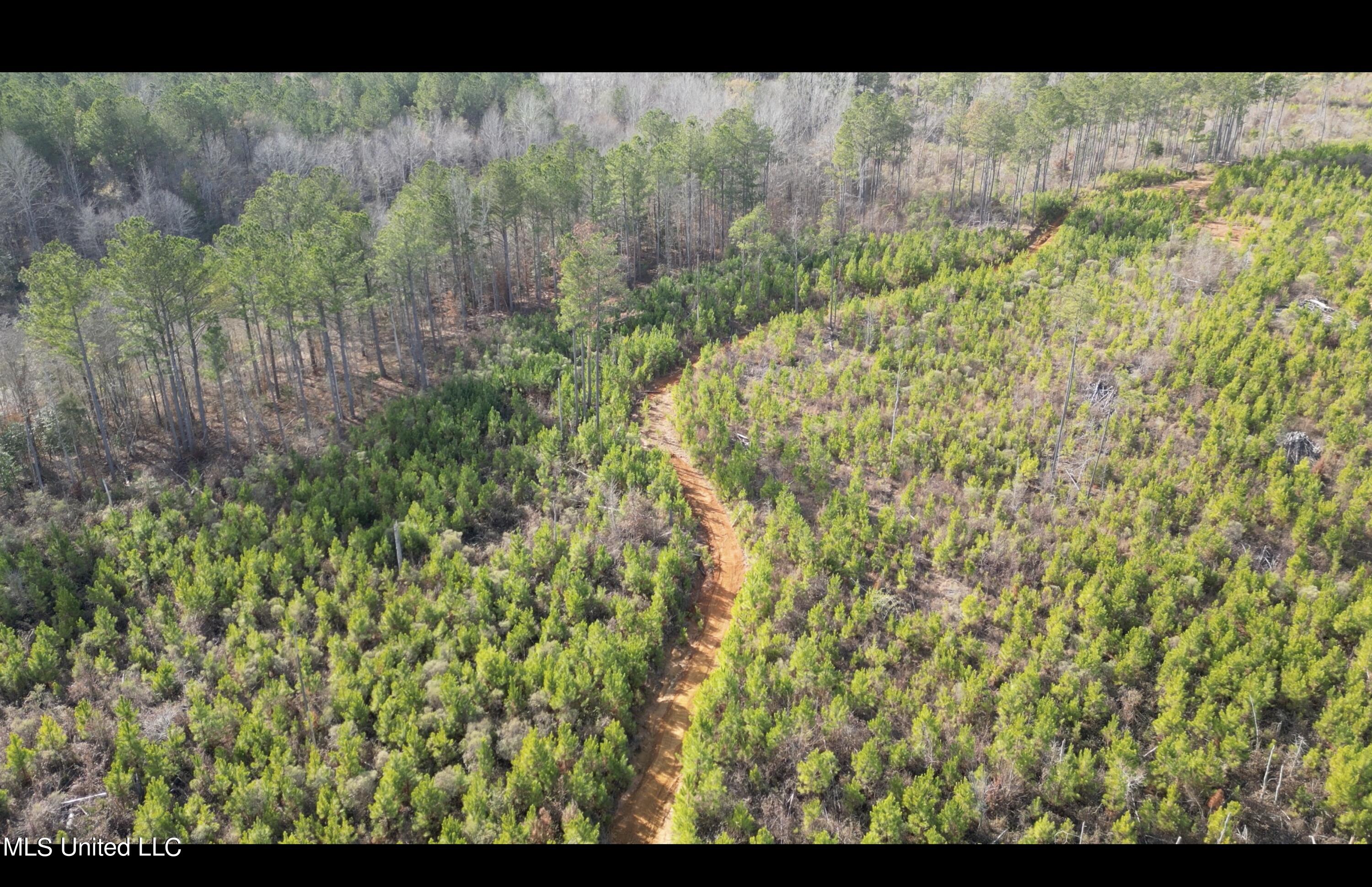 01 Highway 19 Property Photo 4