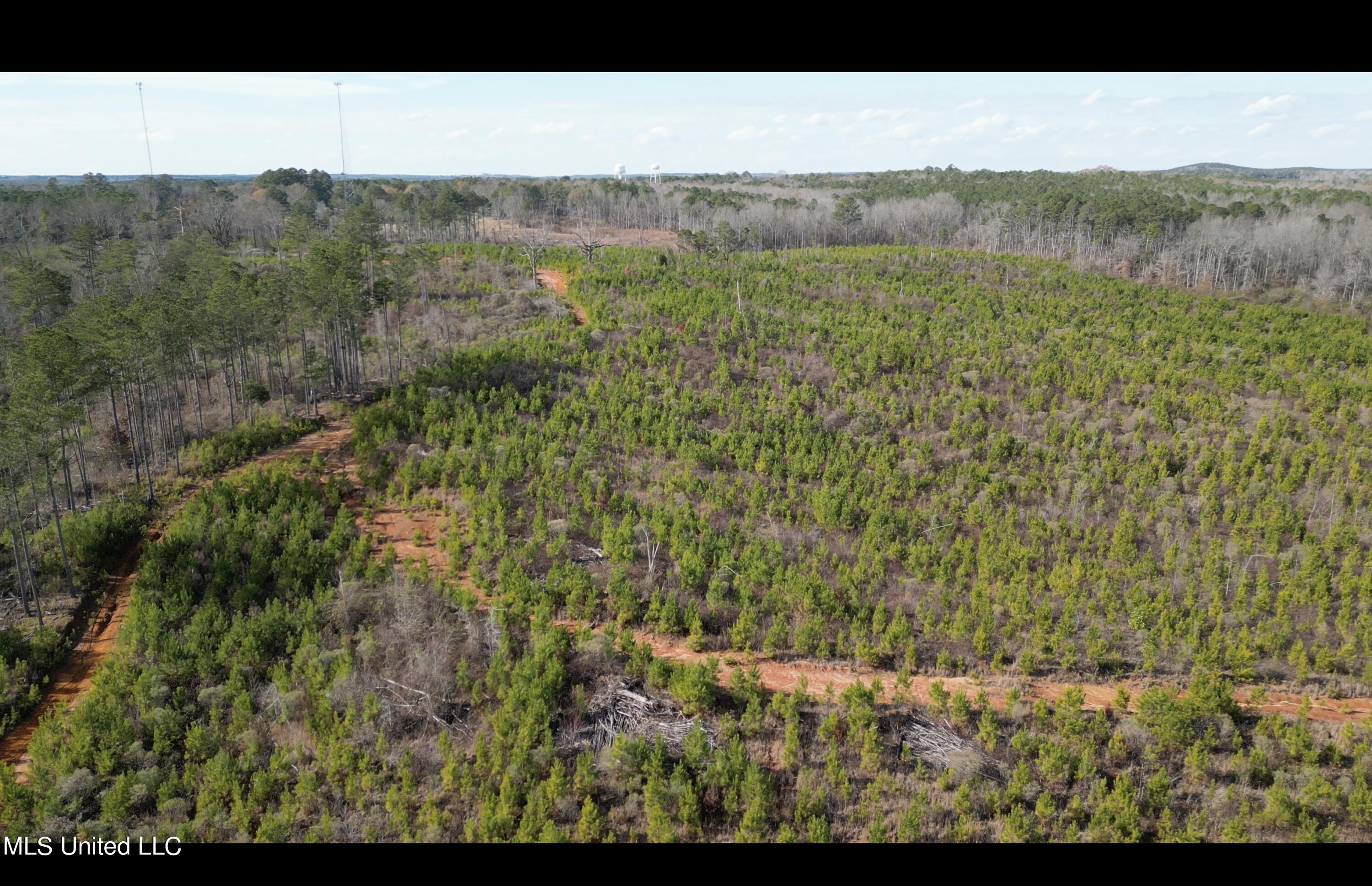 01 Highway 19 Property Photo 5
