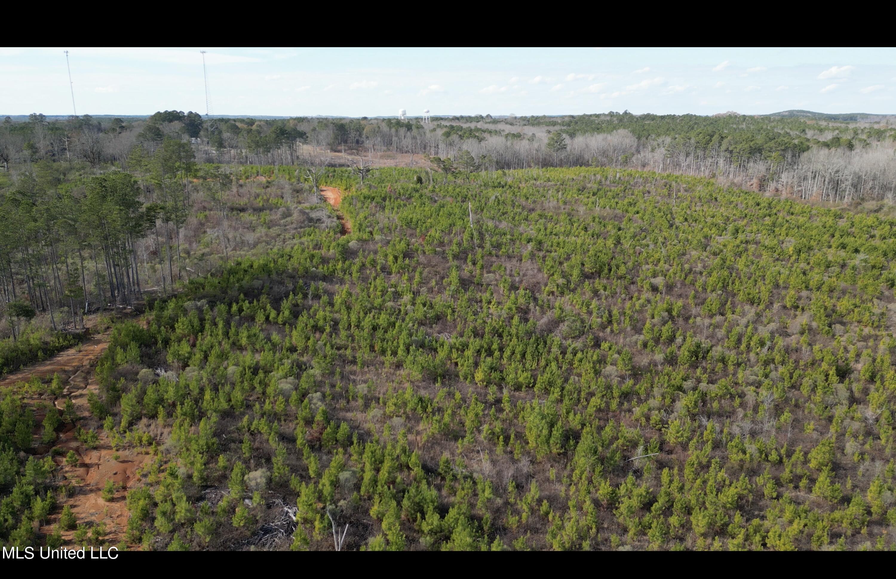 01 Highway 19 Property Photo 6