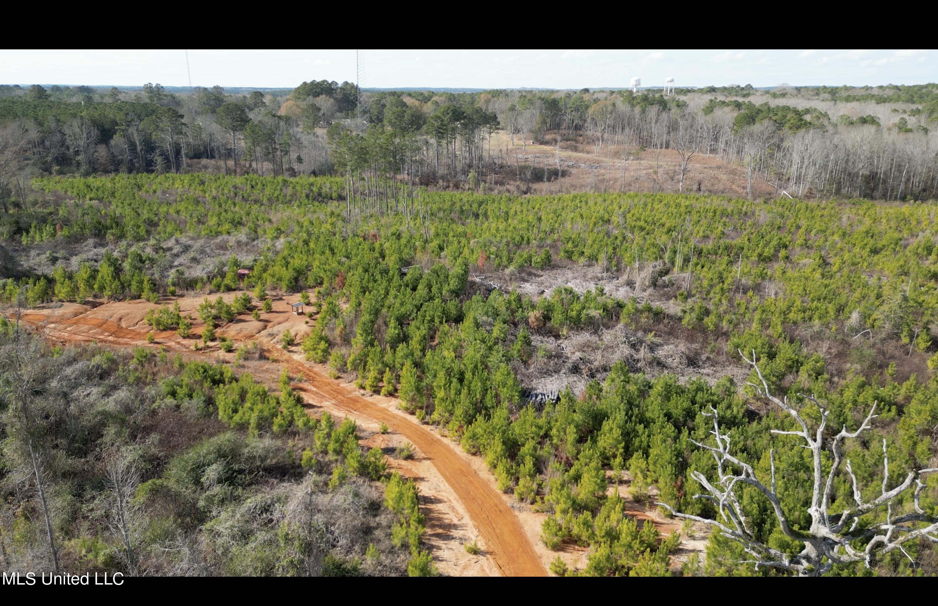 01 Highway 19 Property Photo 7