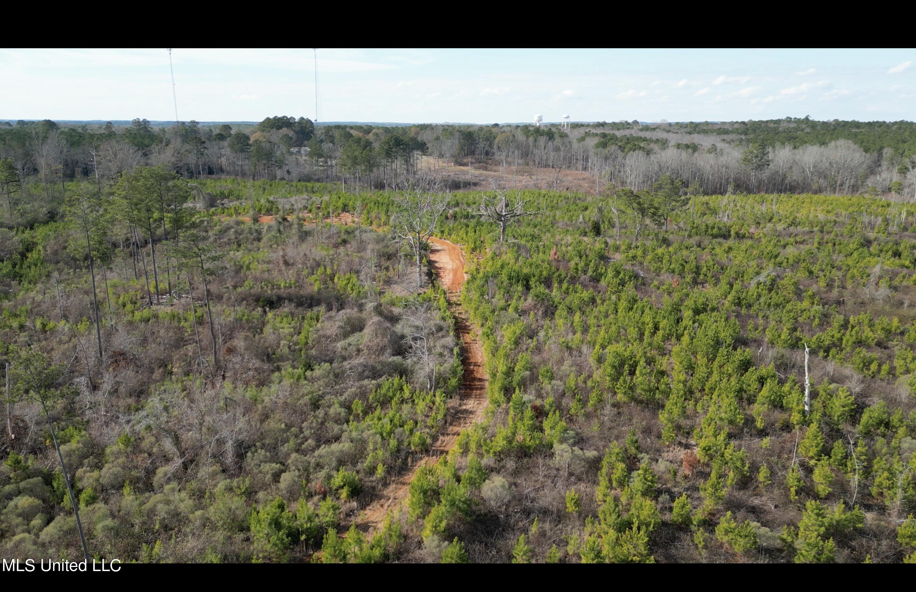 01 Highway 19 Property Photo 8